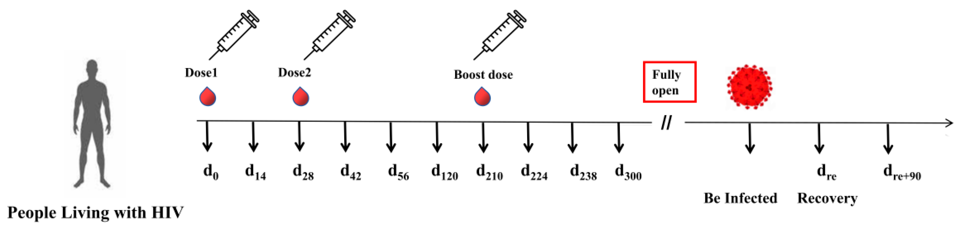 Viruses 16 01481 g001