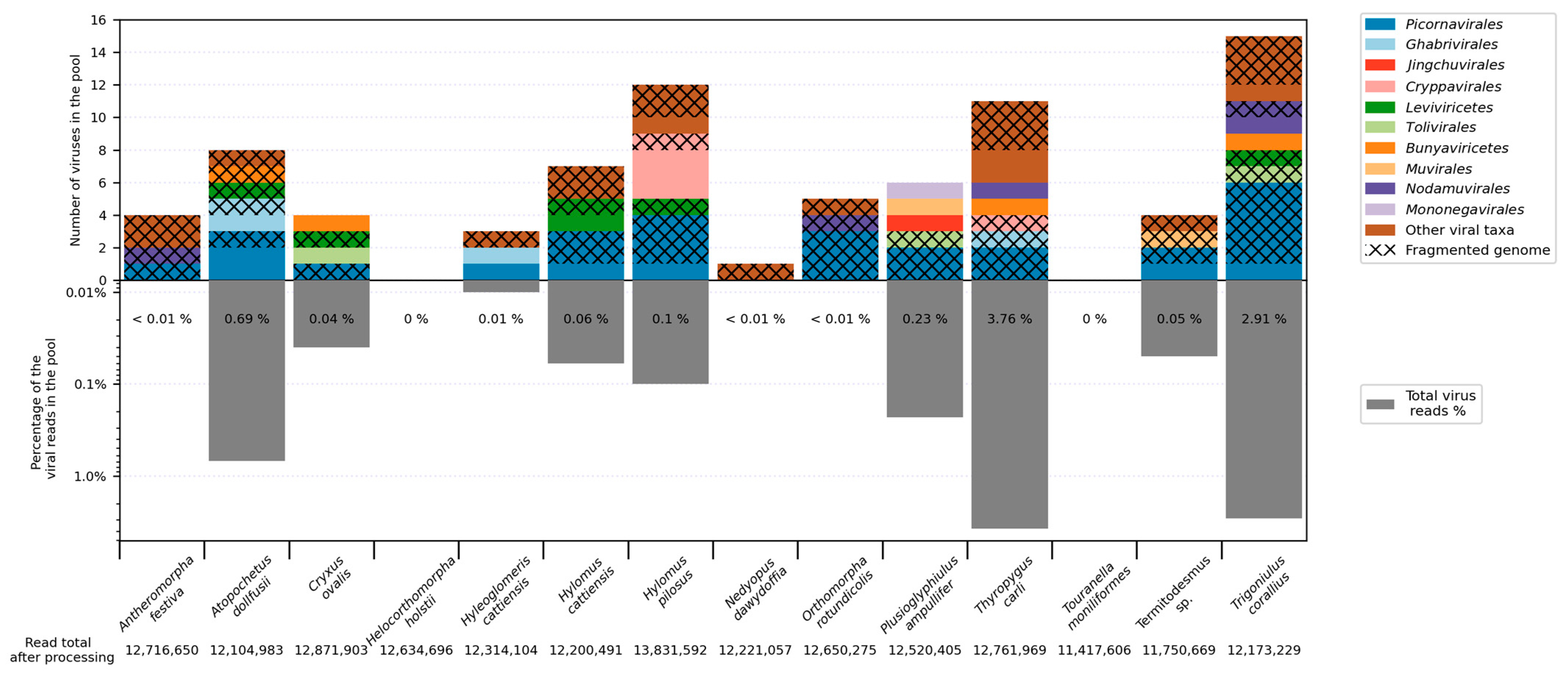 Viruses 16 01486 g001