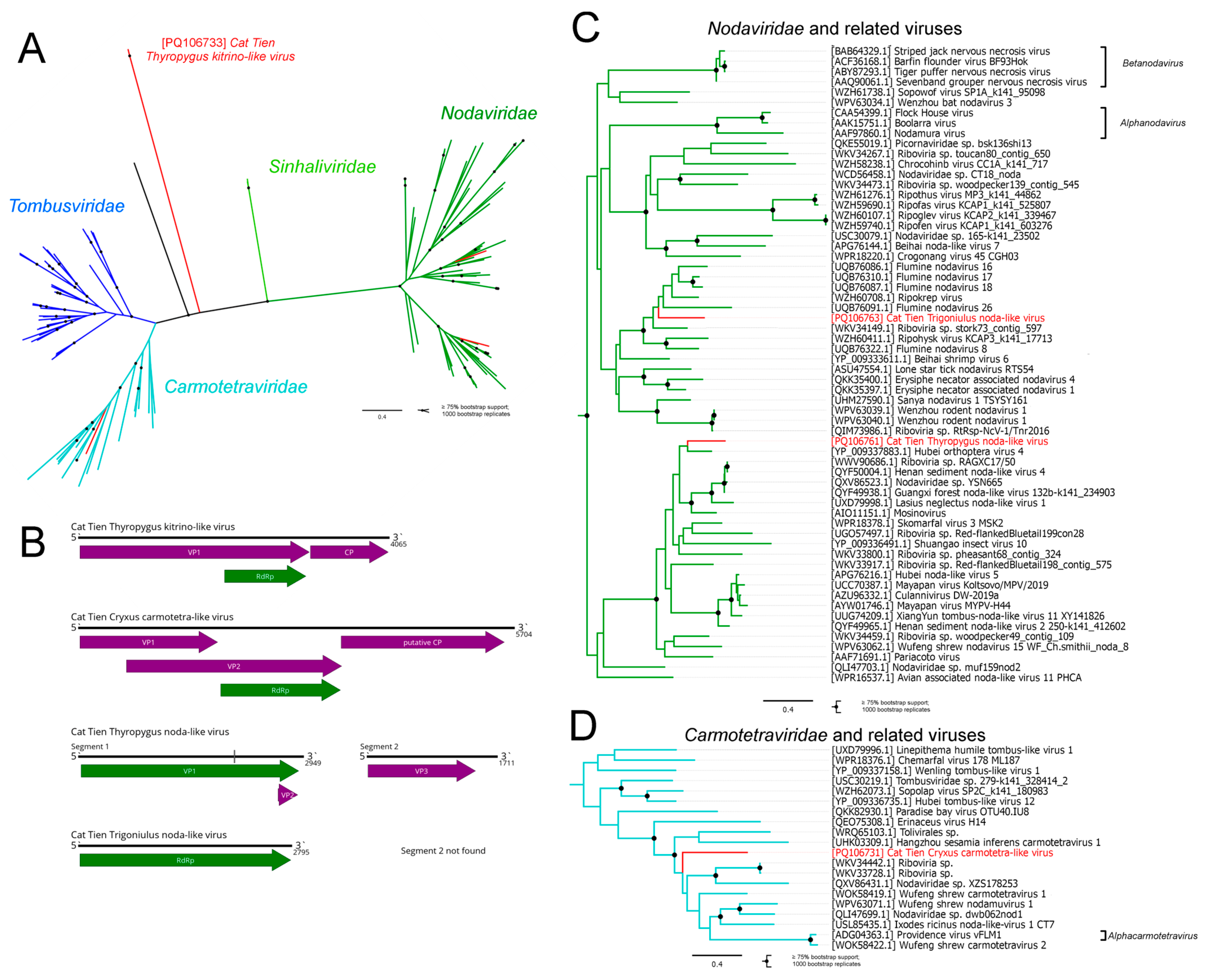 Viruses 16 01486 g003