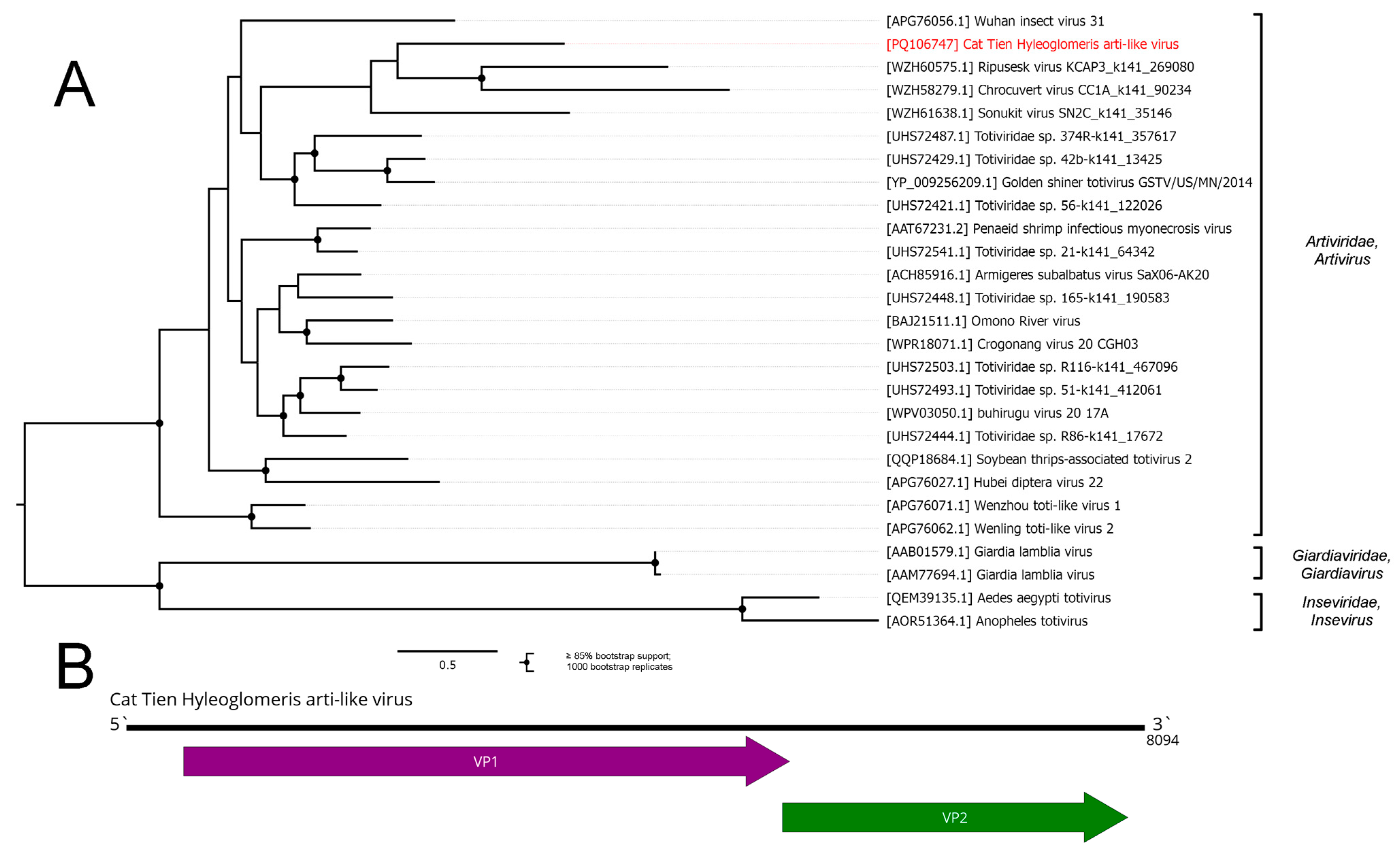 Viruses 16 01486 g006