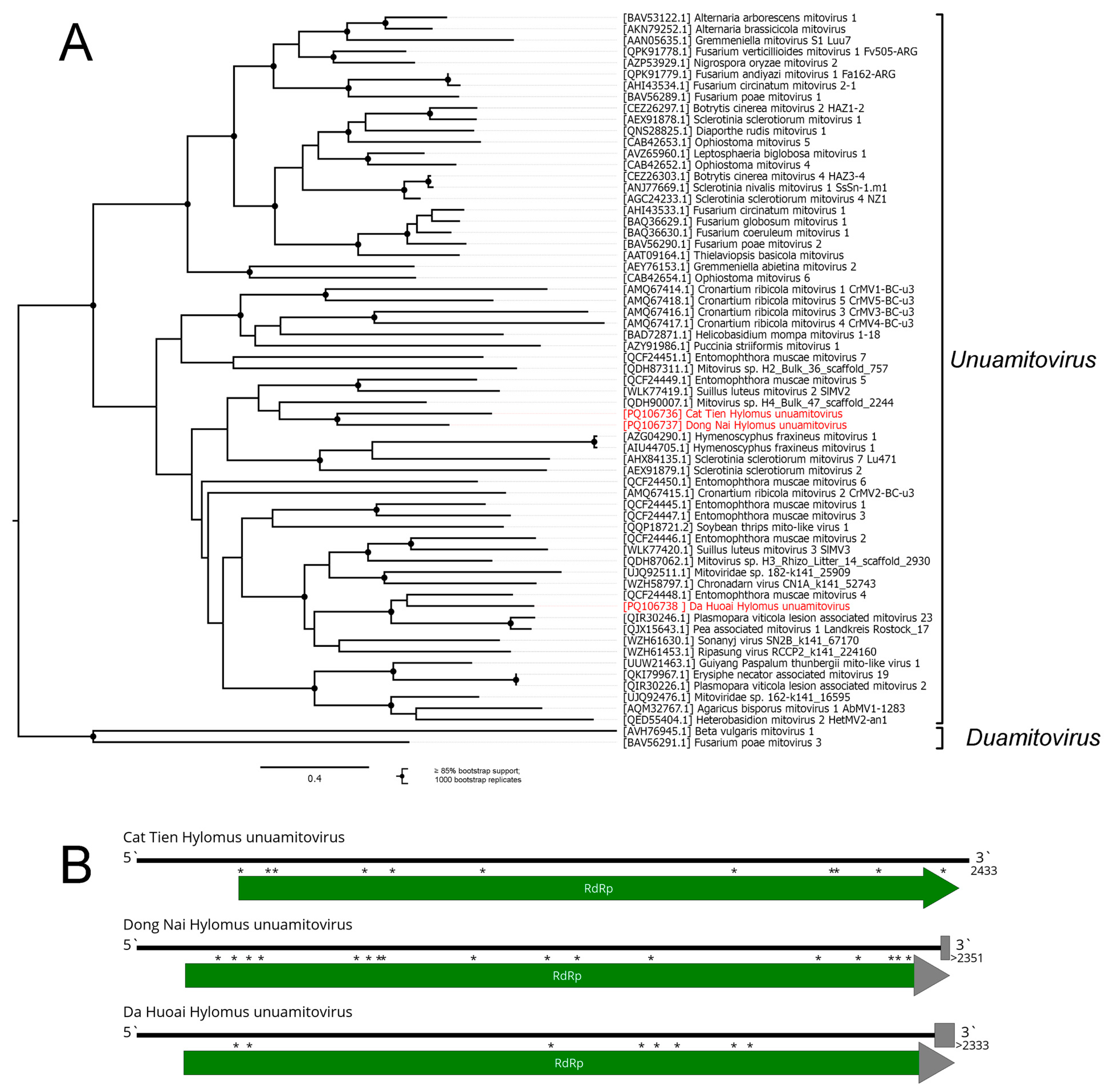 Viruses 16 01486 g008