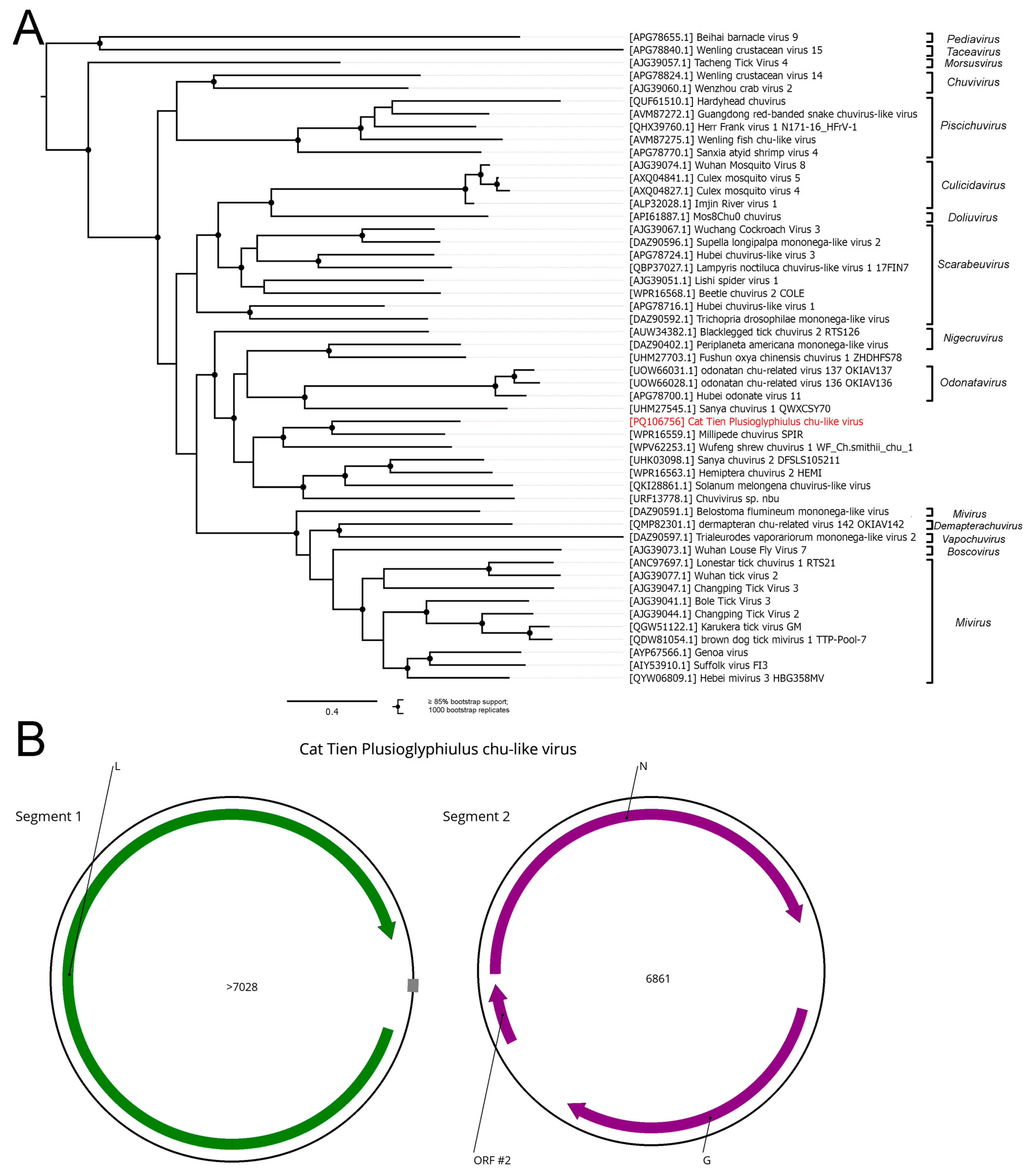 Viruses 16 01486 g009