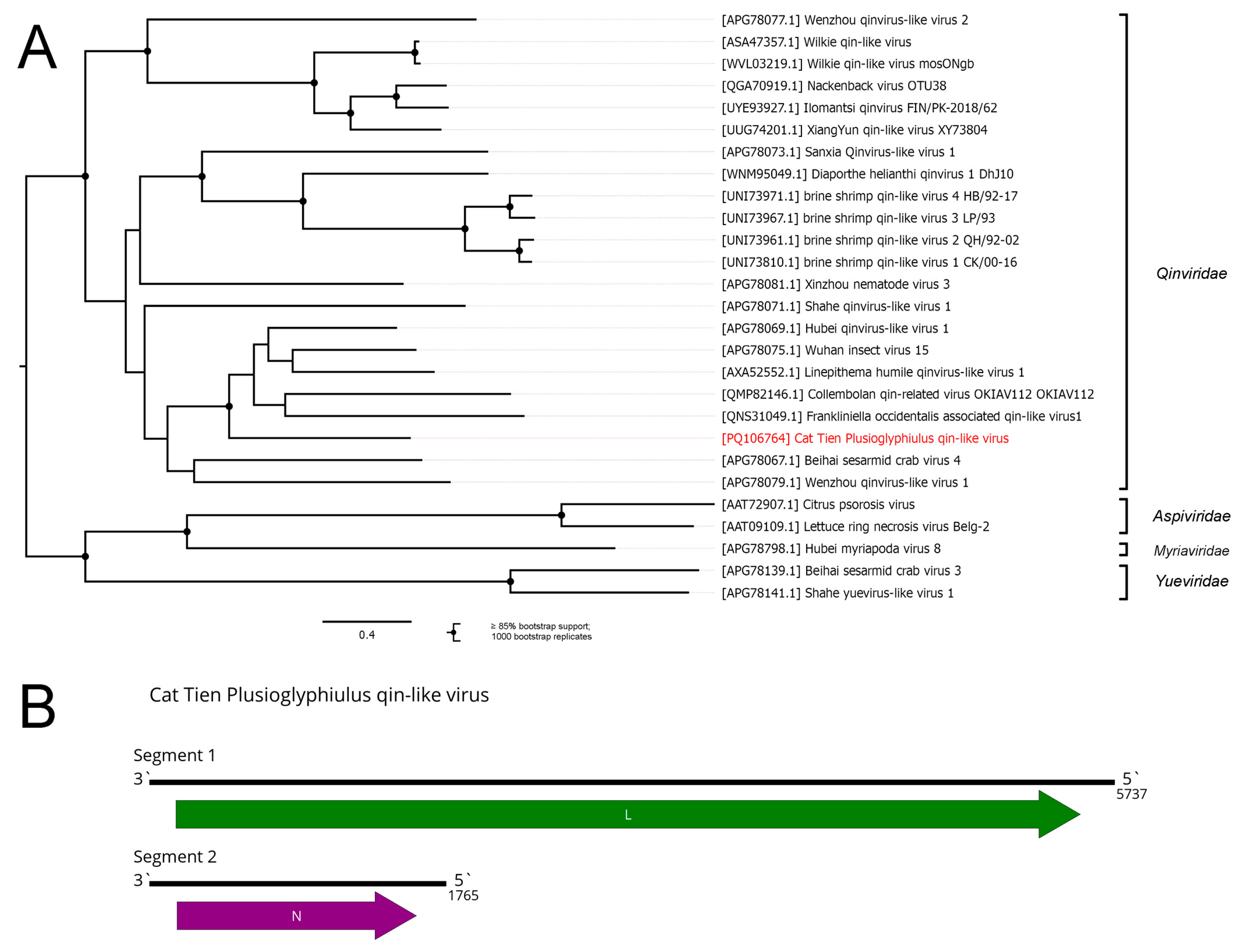 Viruses 16 01486 g011