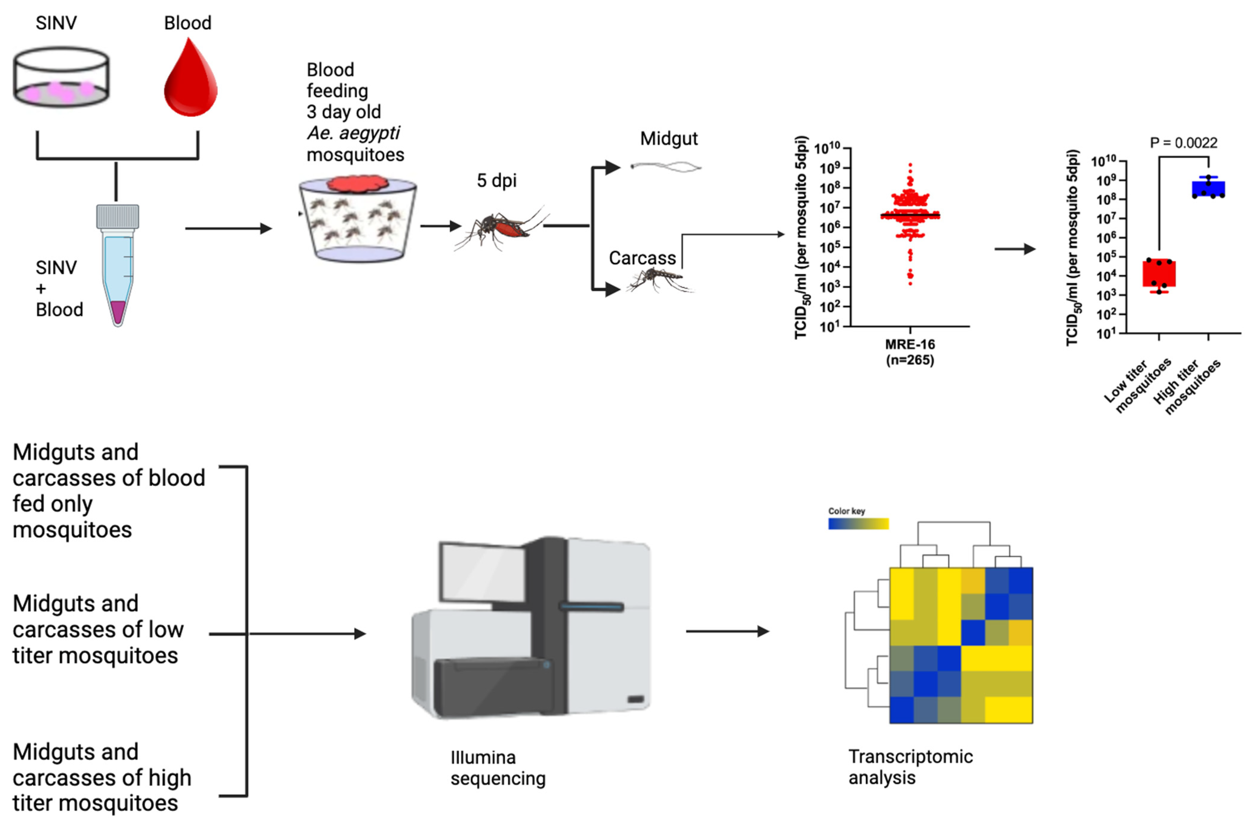 Viruses 16 01487 g001