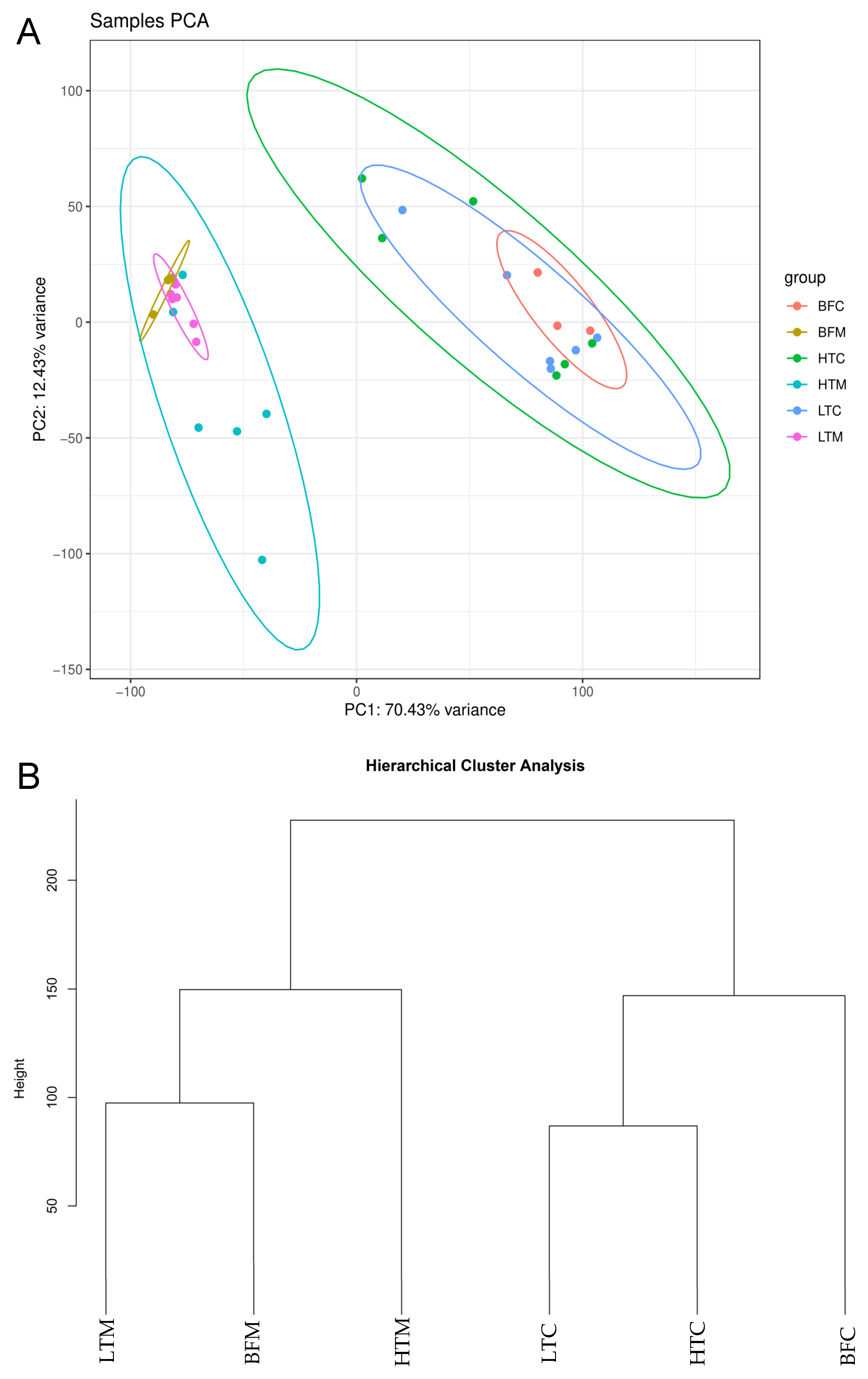 Viruses 16 01487 g002