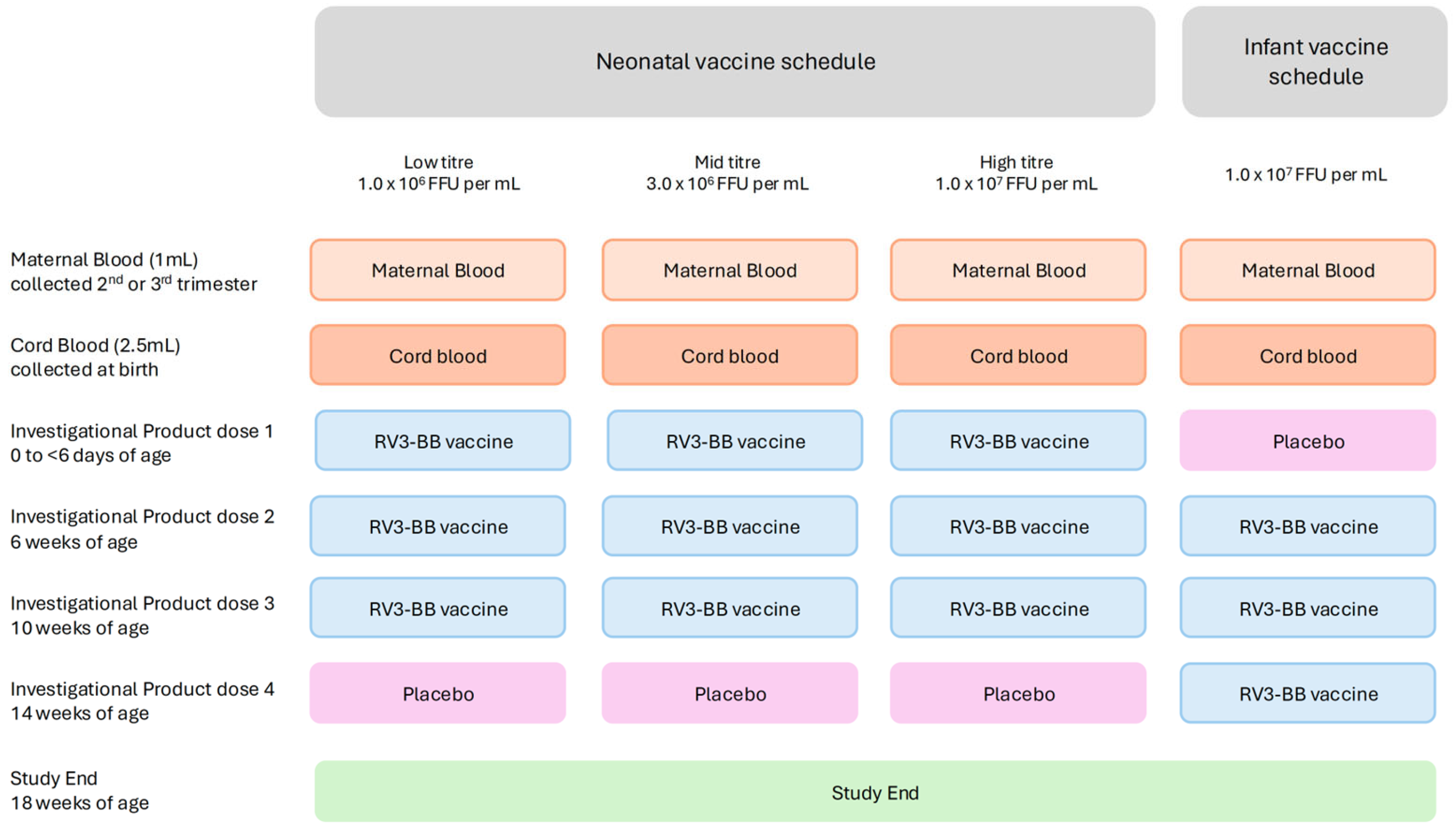 Viruses 16 01488 g002