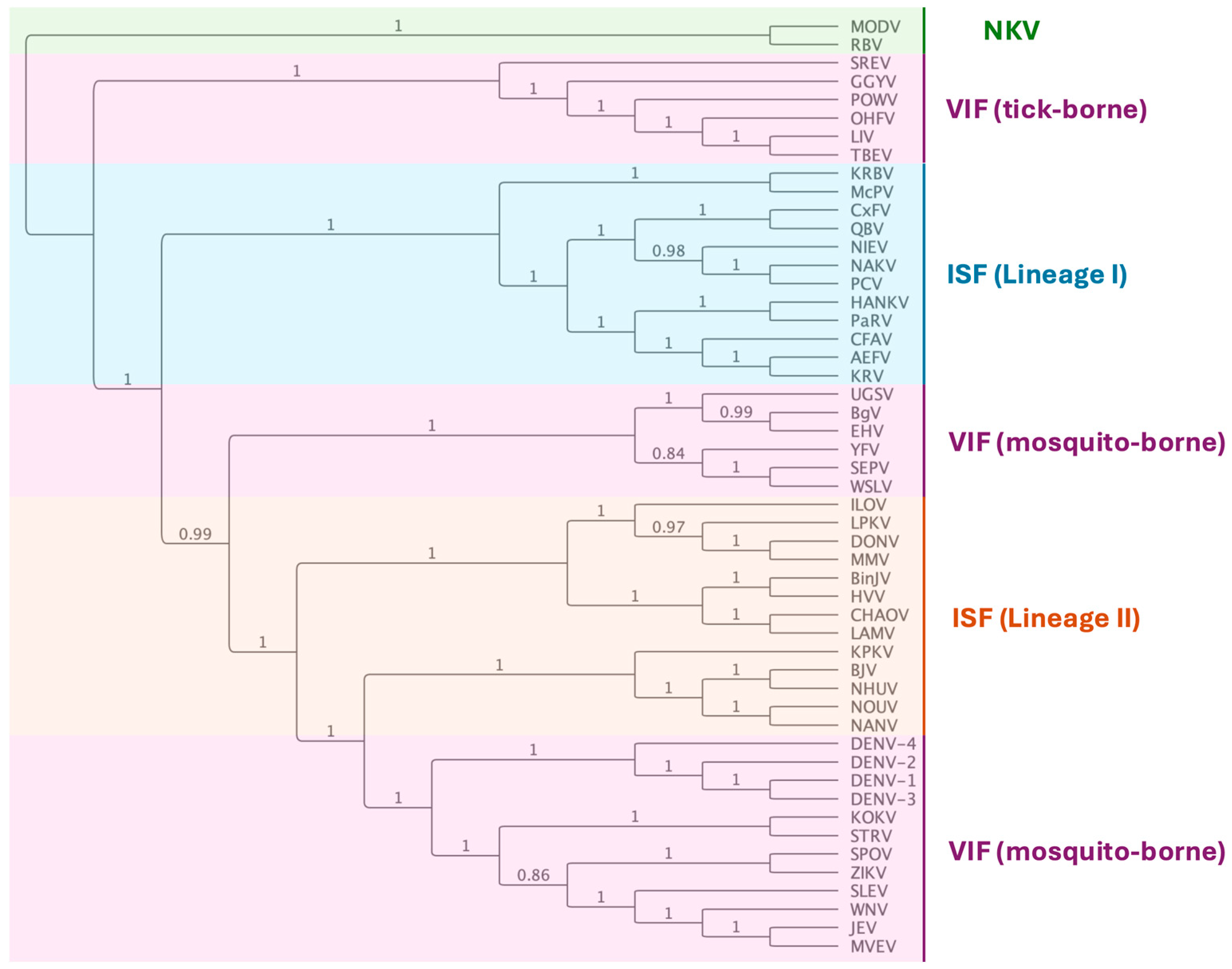 Viruses 16 01499 g003