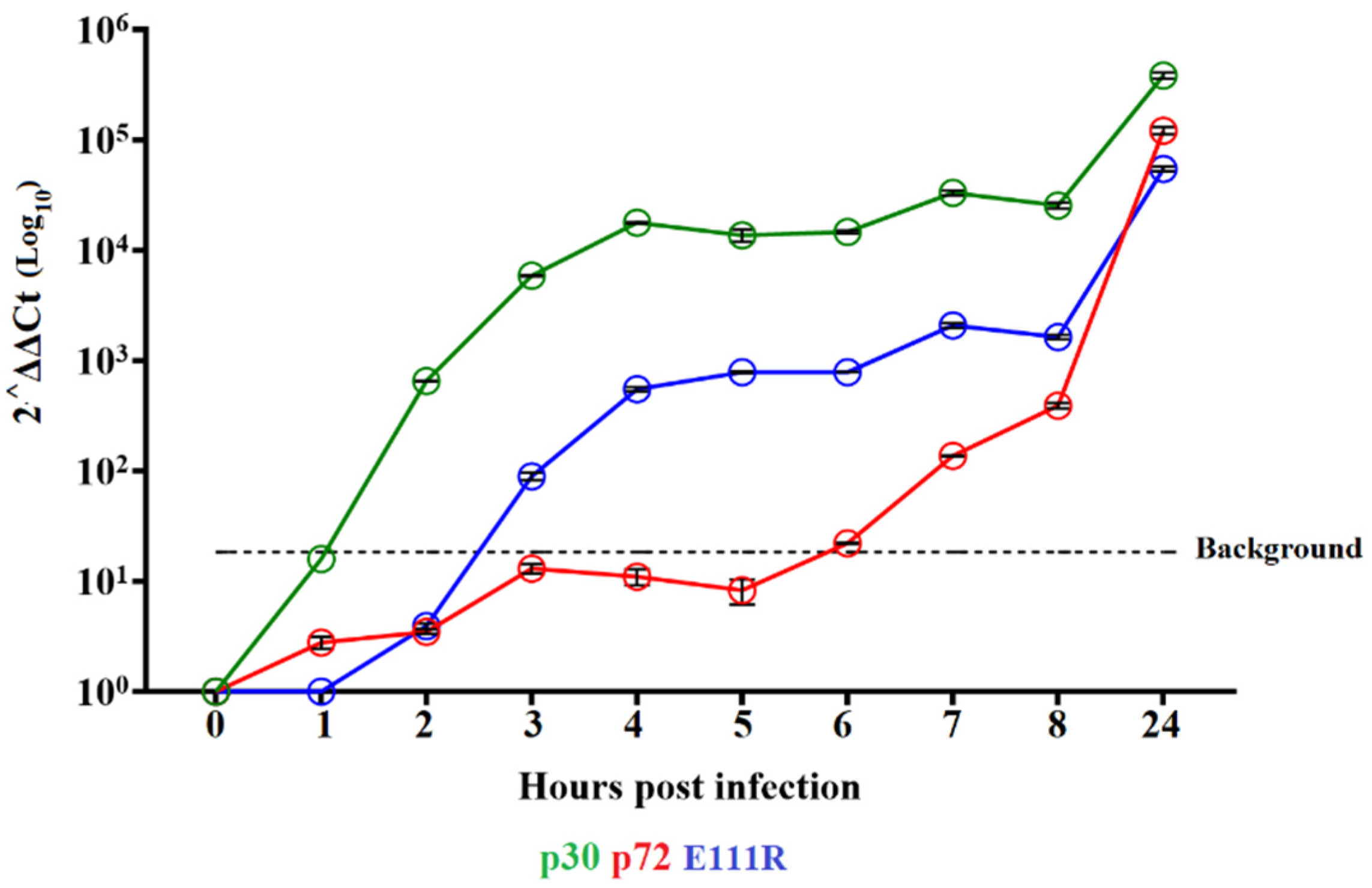 Viruses 16 01502 g004