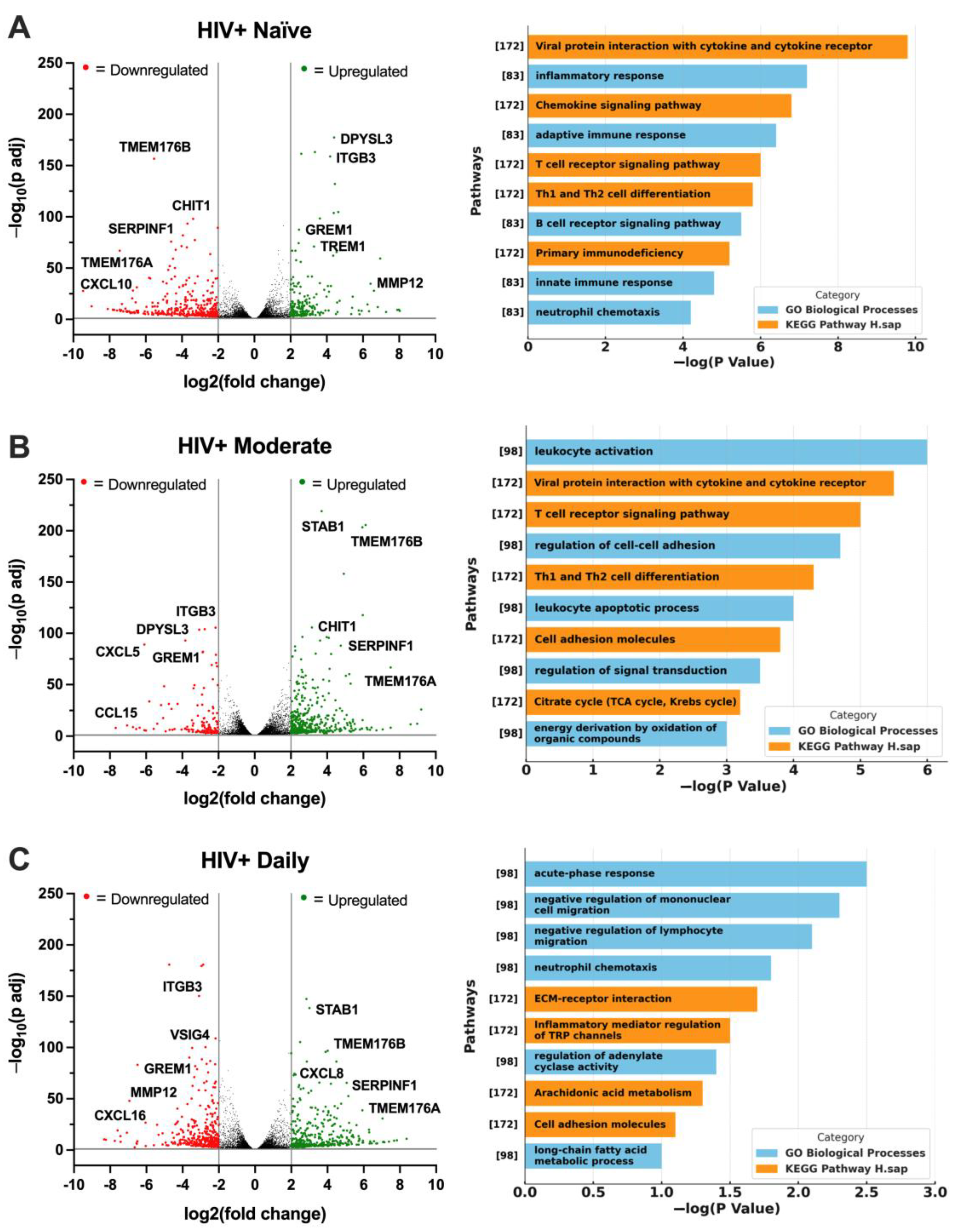 Viruses 16 01509 g006a