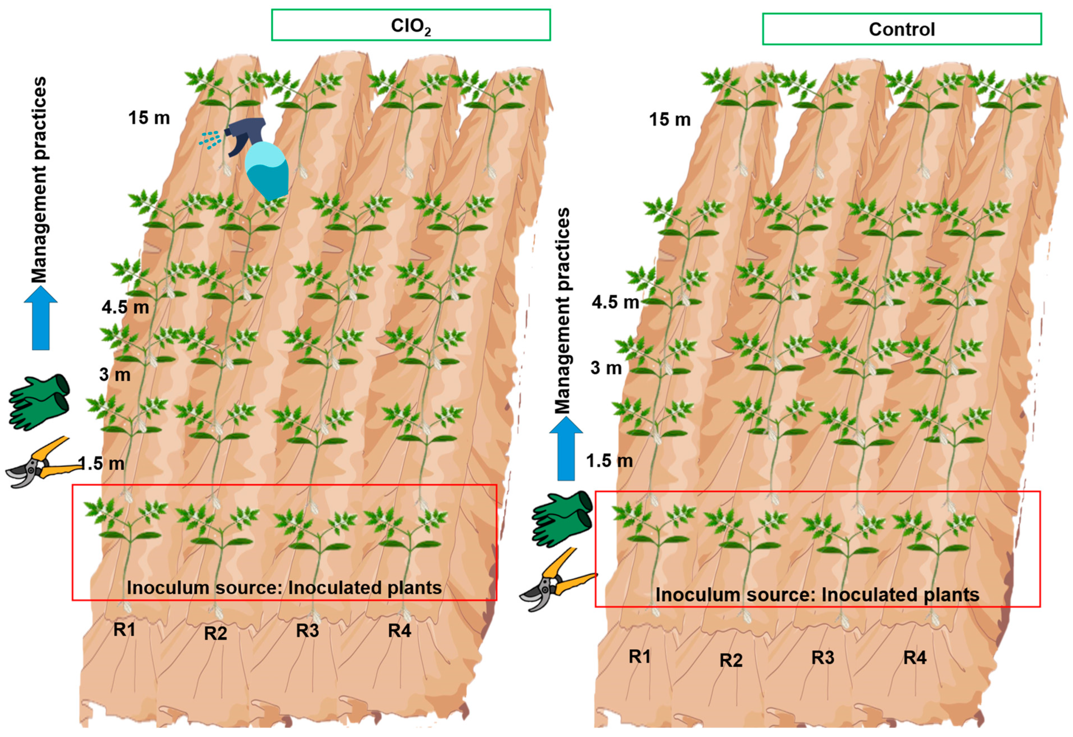 Viruses 16 01510 g001