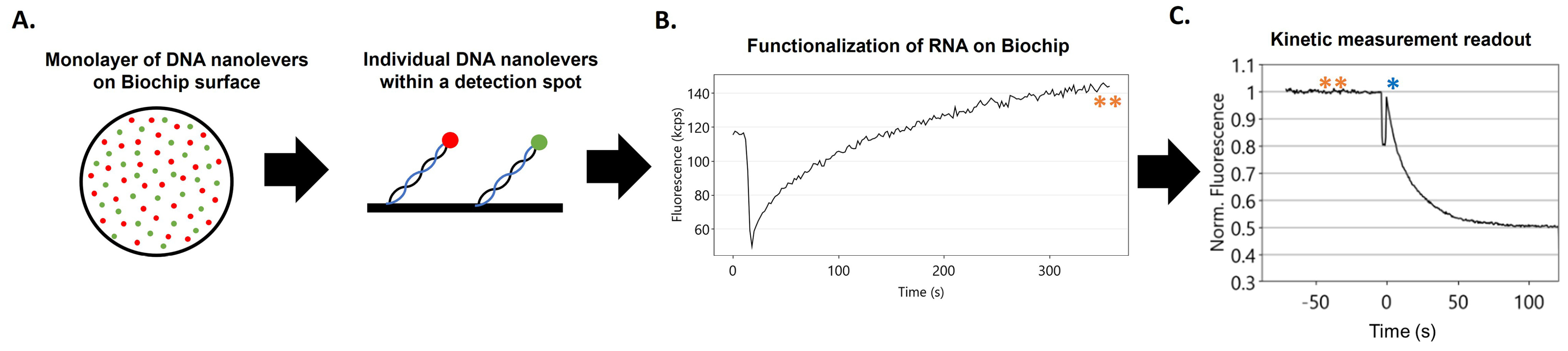 Viruses 16 01517 g001