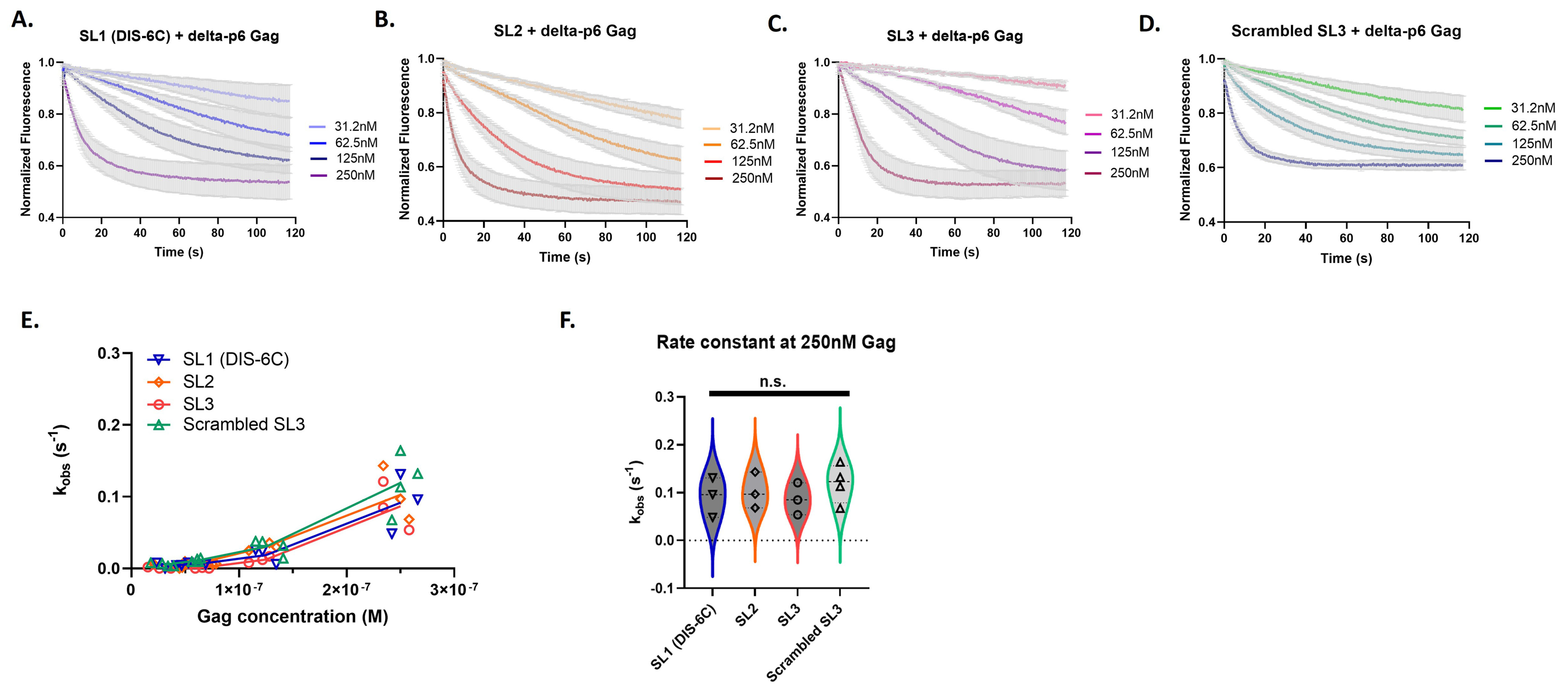Viruses 16 01517 g004