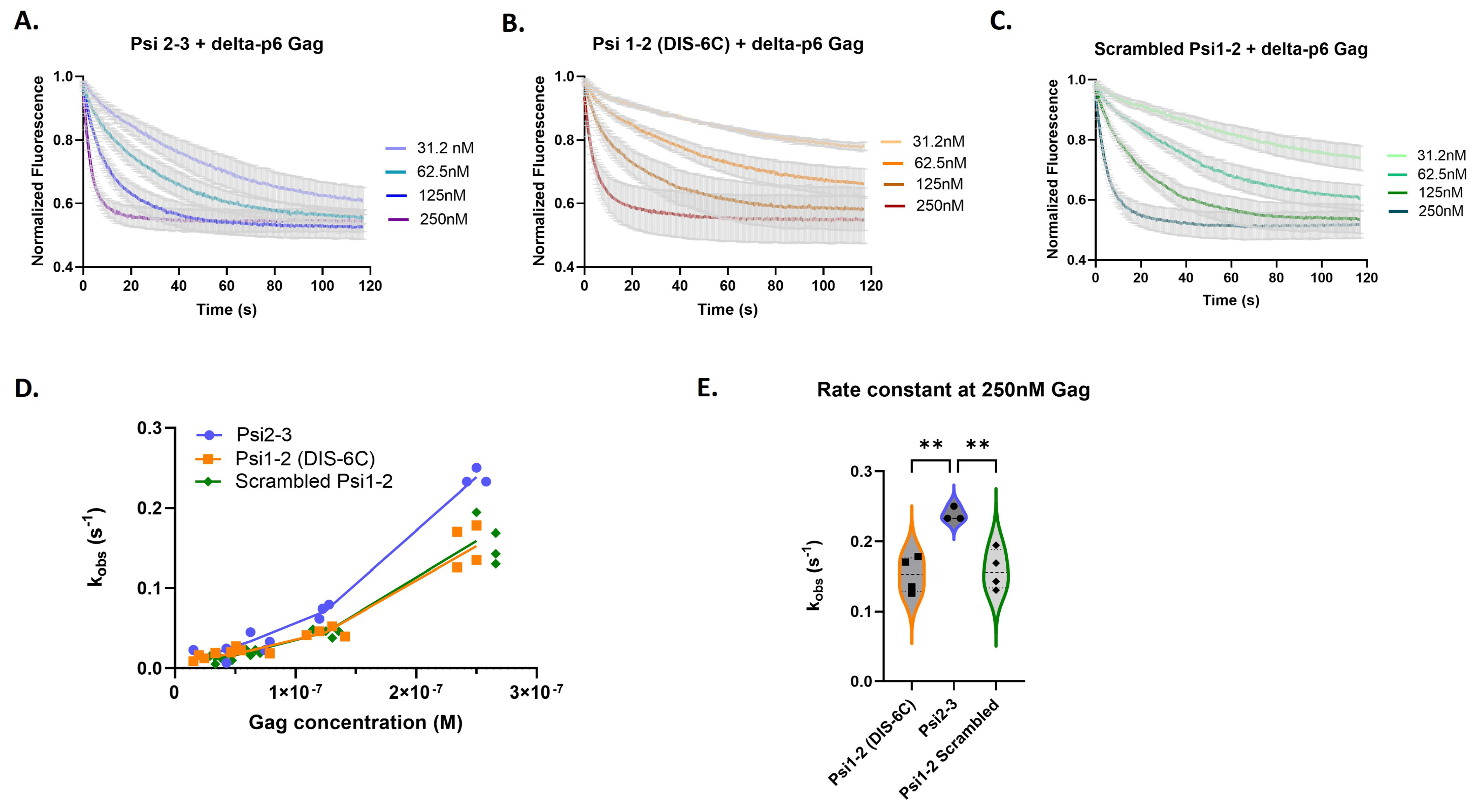 Viruses 16 01517 g005
