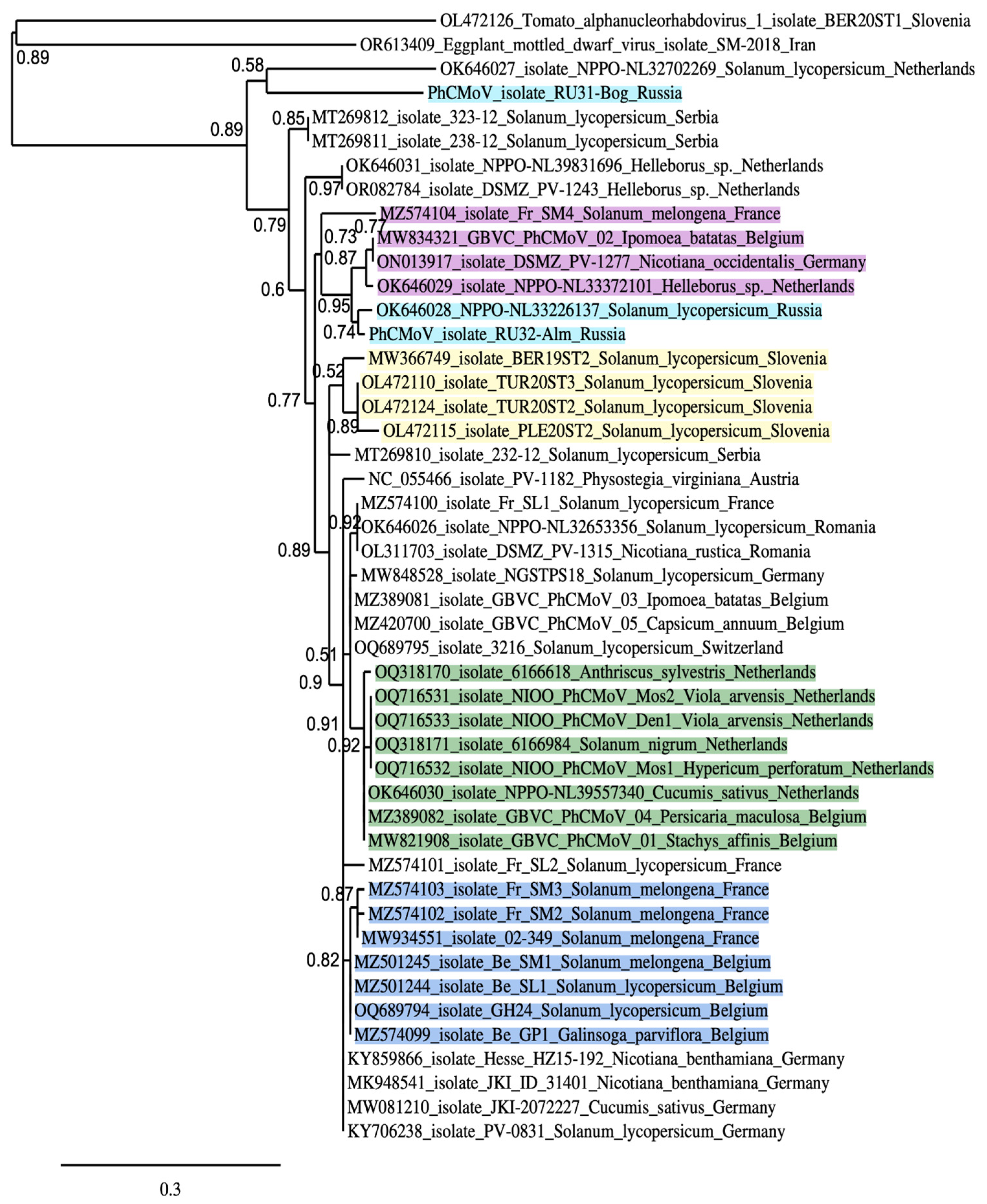 Viruses 16 01538 g003