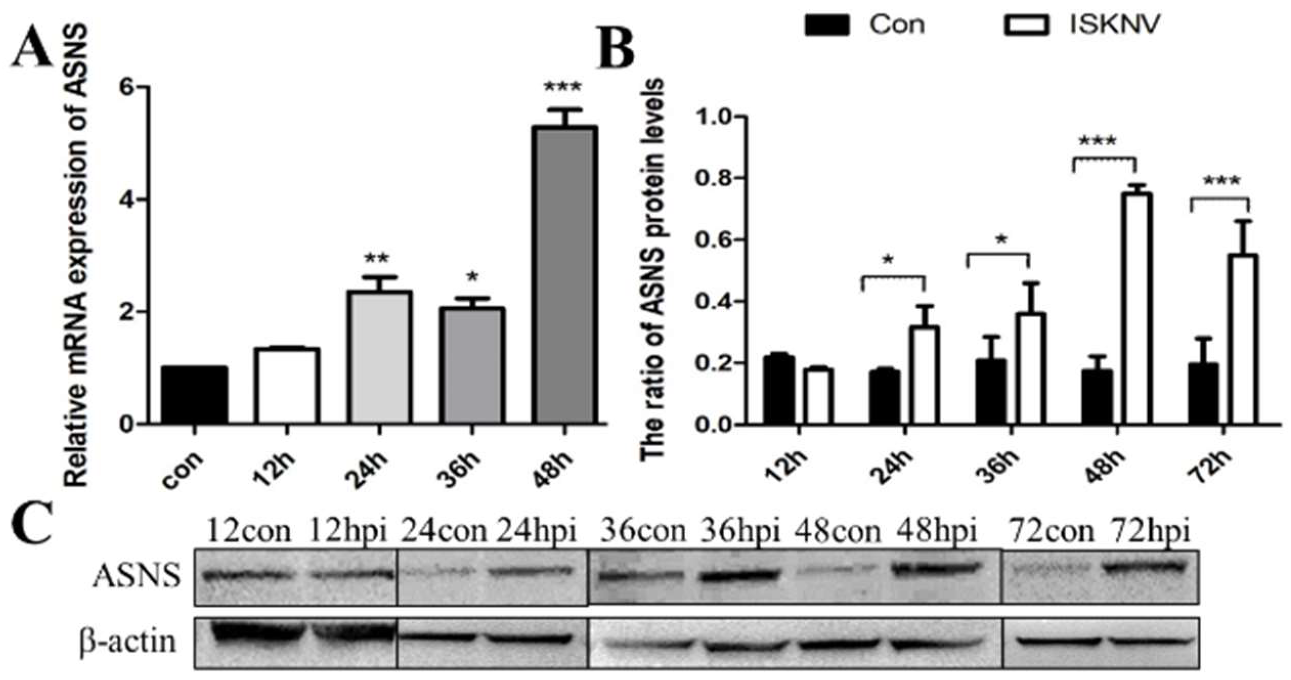 Viruses 16 01540 g002