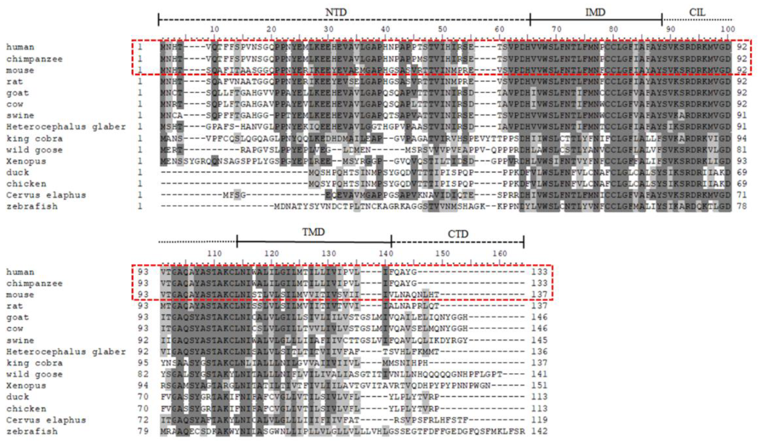 Viruses 16 01543 g001