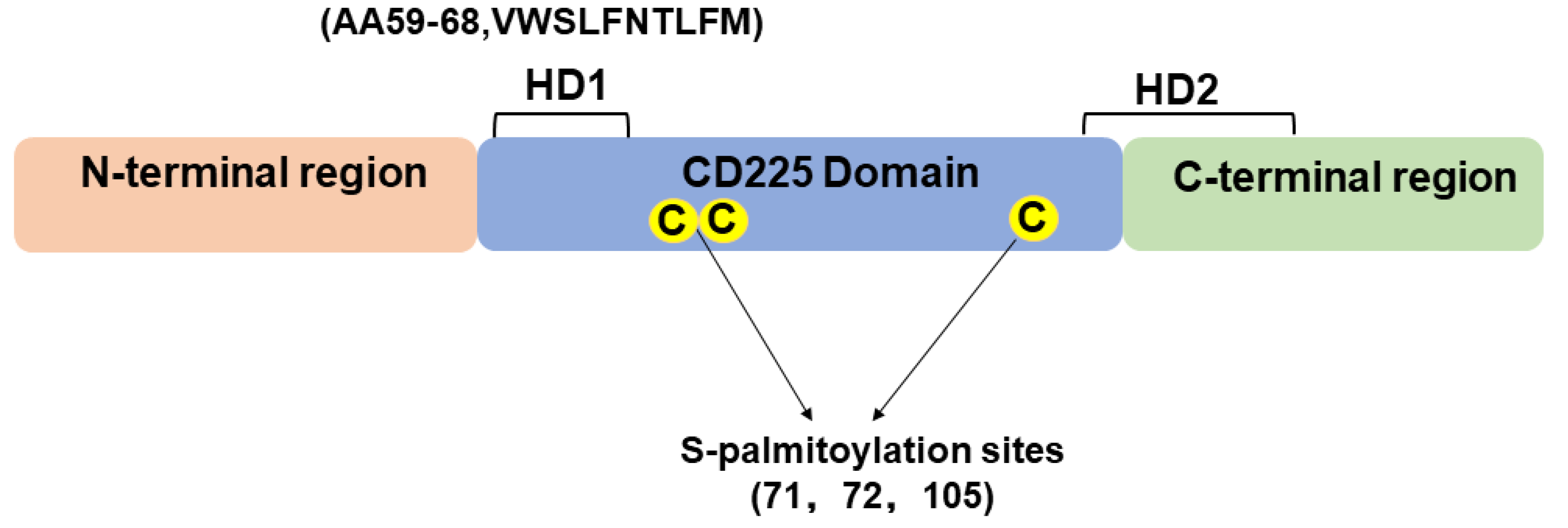 Viruses 16 01543 g002