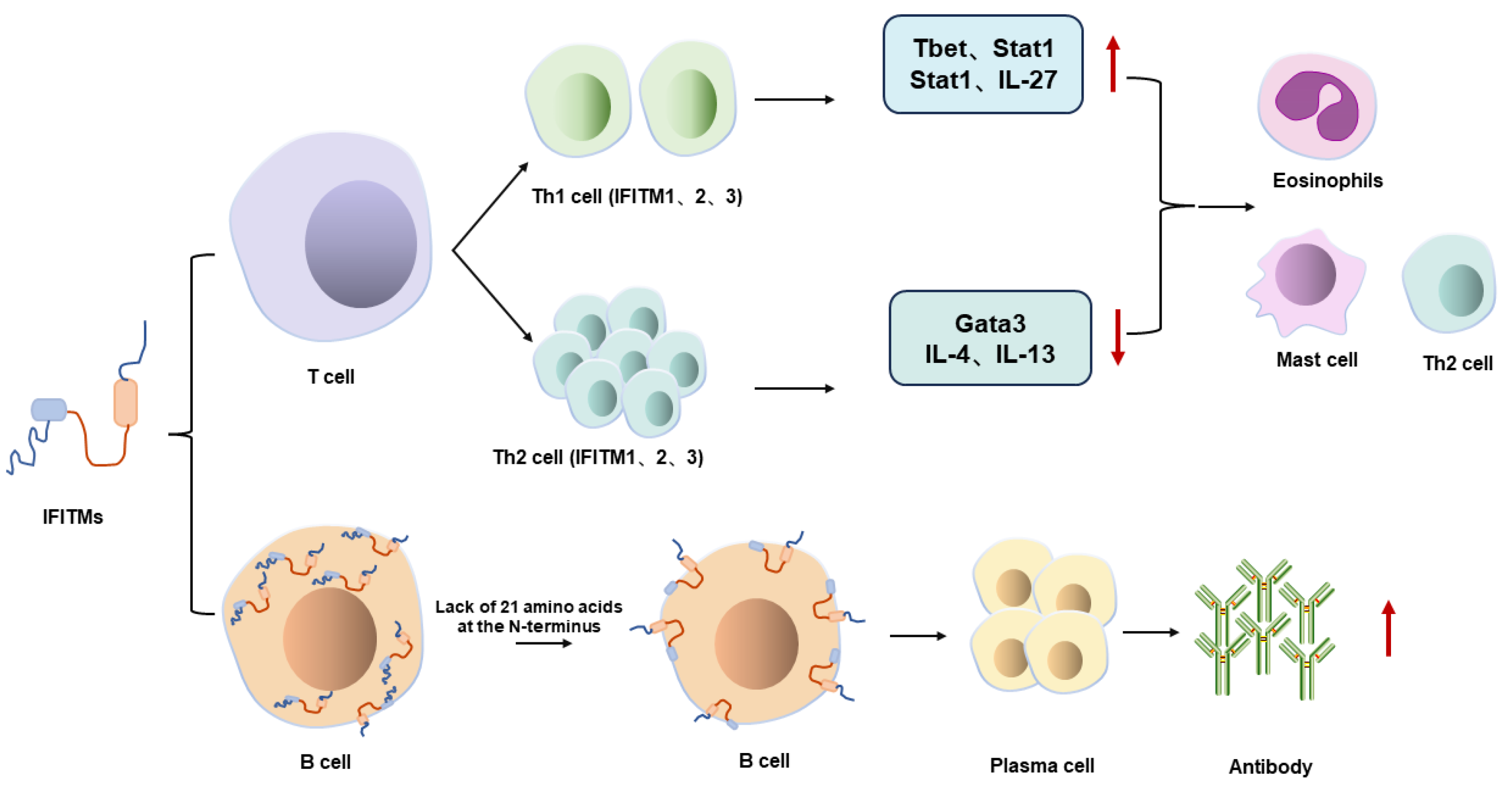 Viruses 16 01543 g005