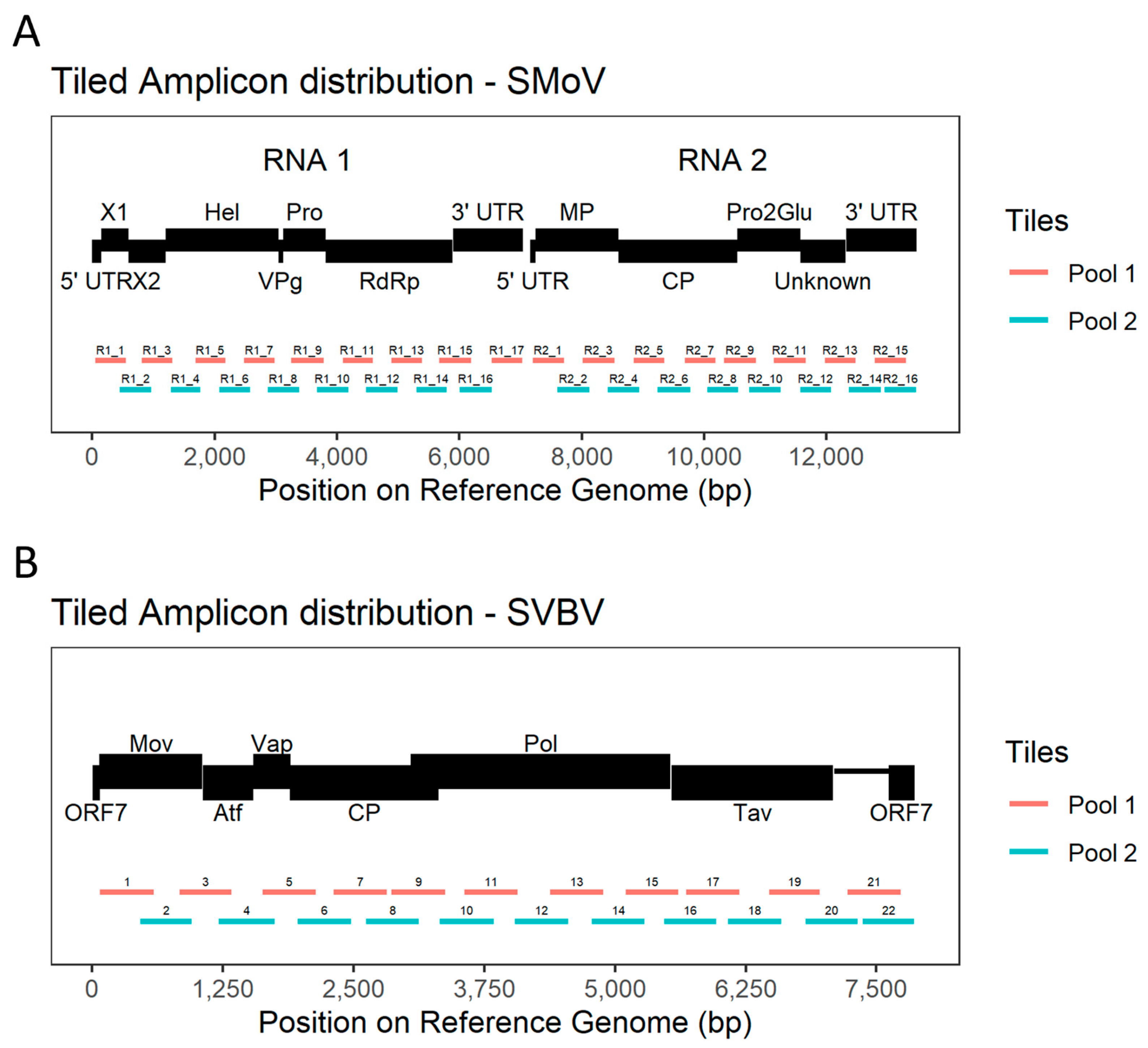 Viruses 16 01550 g001