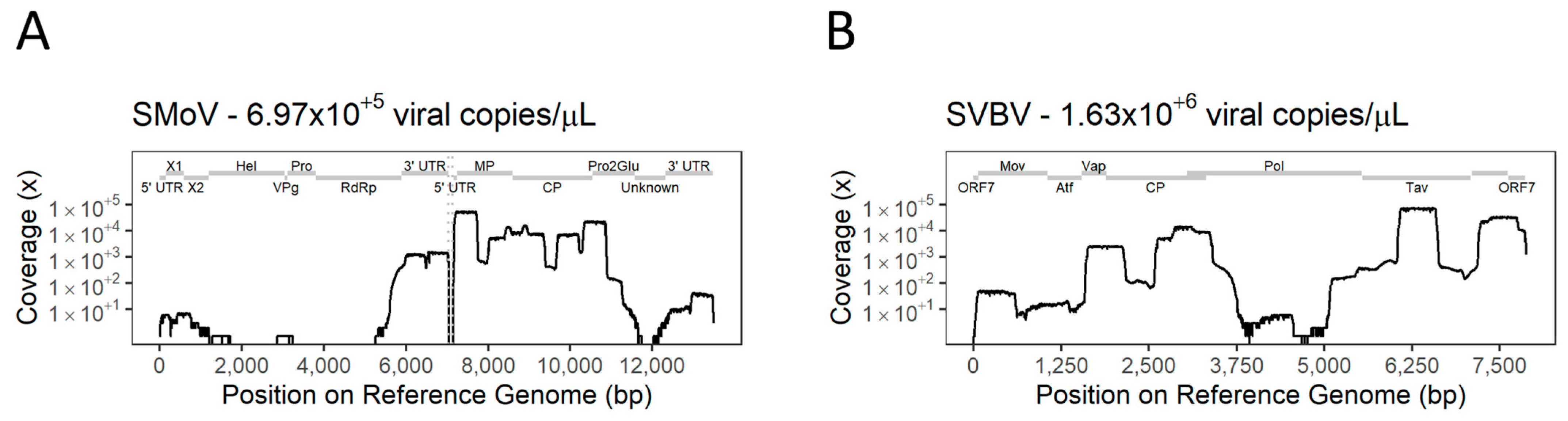 Viruses 16 01550 g005