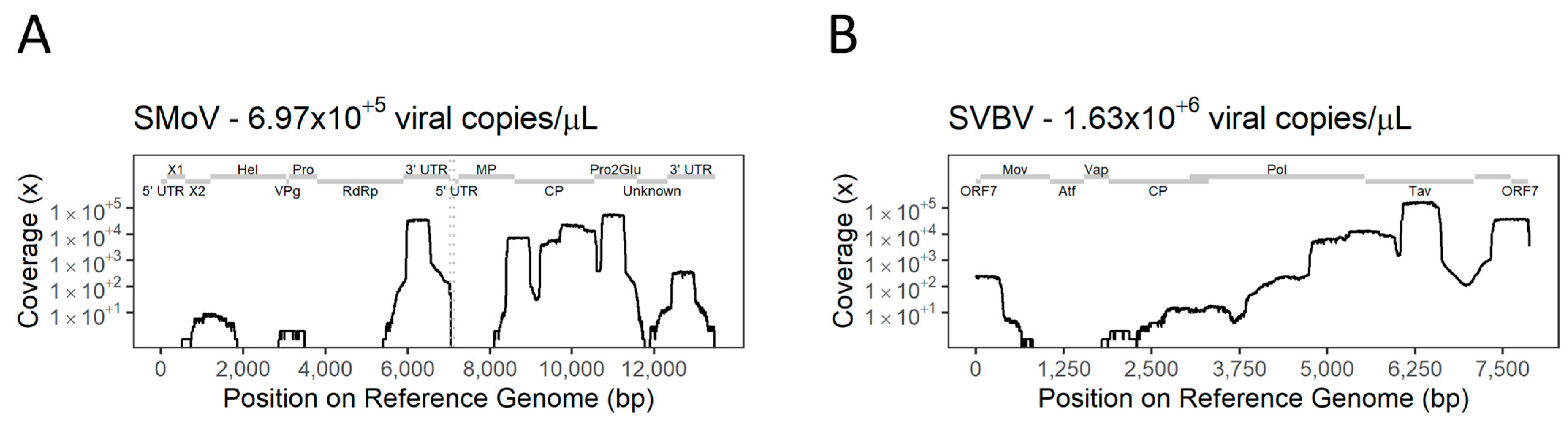 Viruses 16 01550 g006