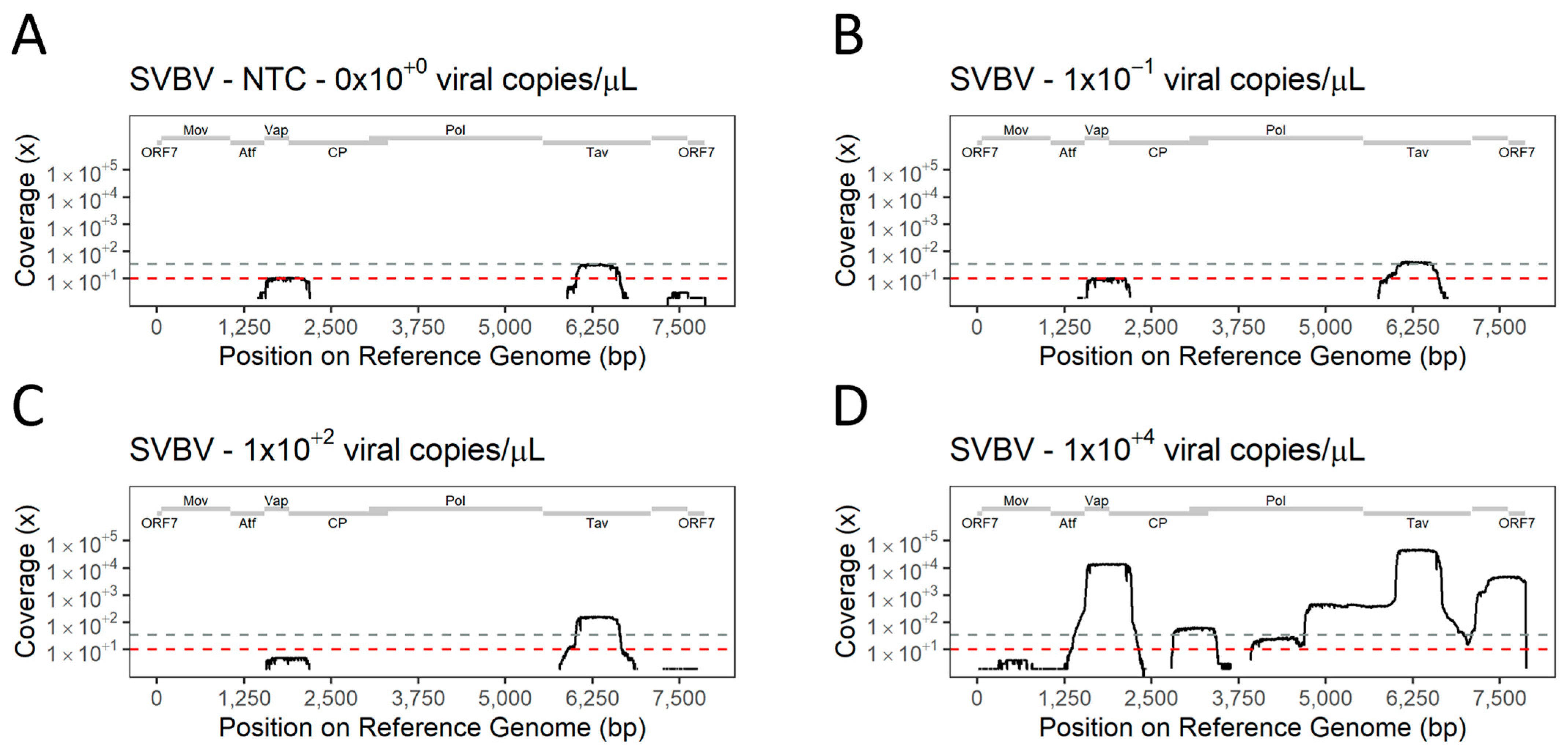 Viruses 16 01550 g008
