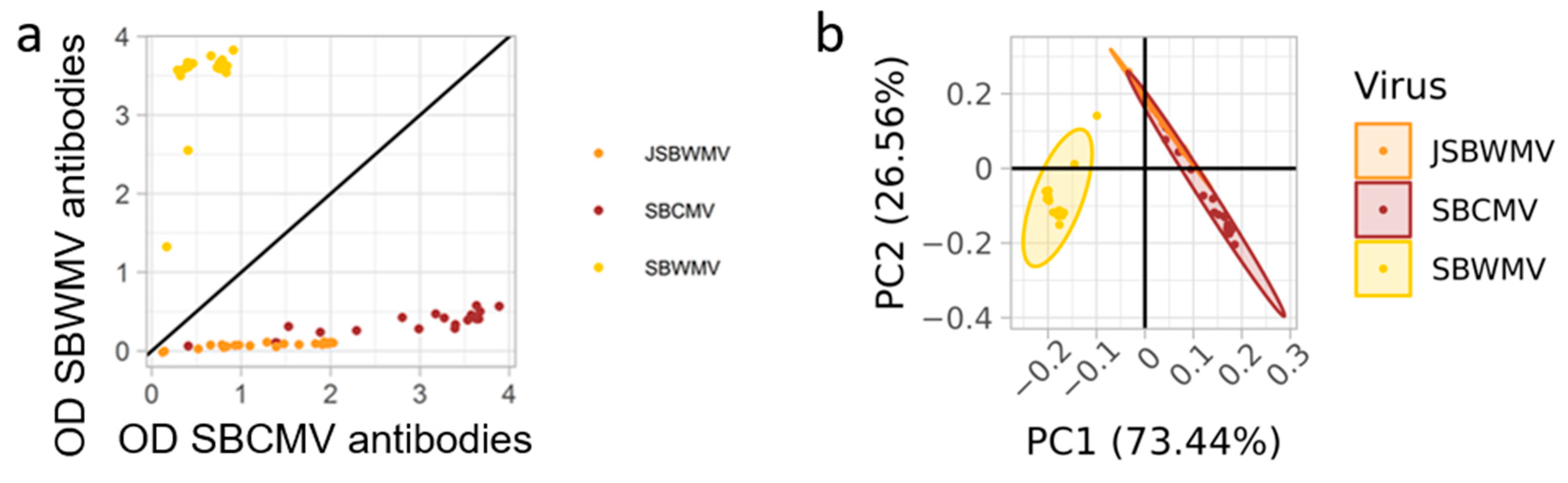 Viruses 16 01579 g001 Viruses 16 01579 g001