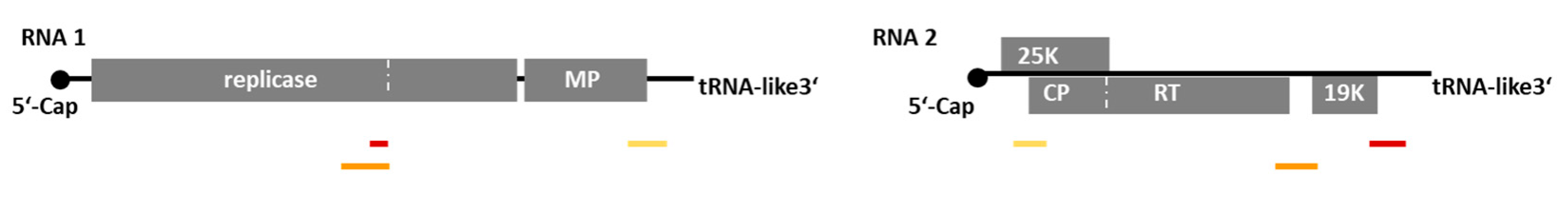 Viruses 16 01579 g002 Viruses 16 01579 g002