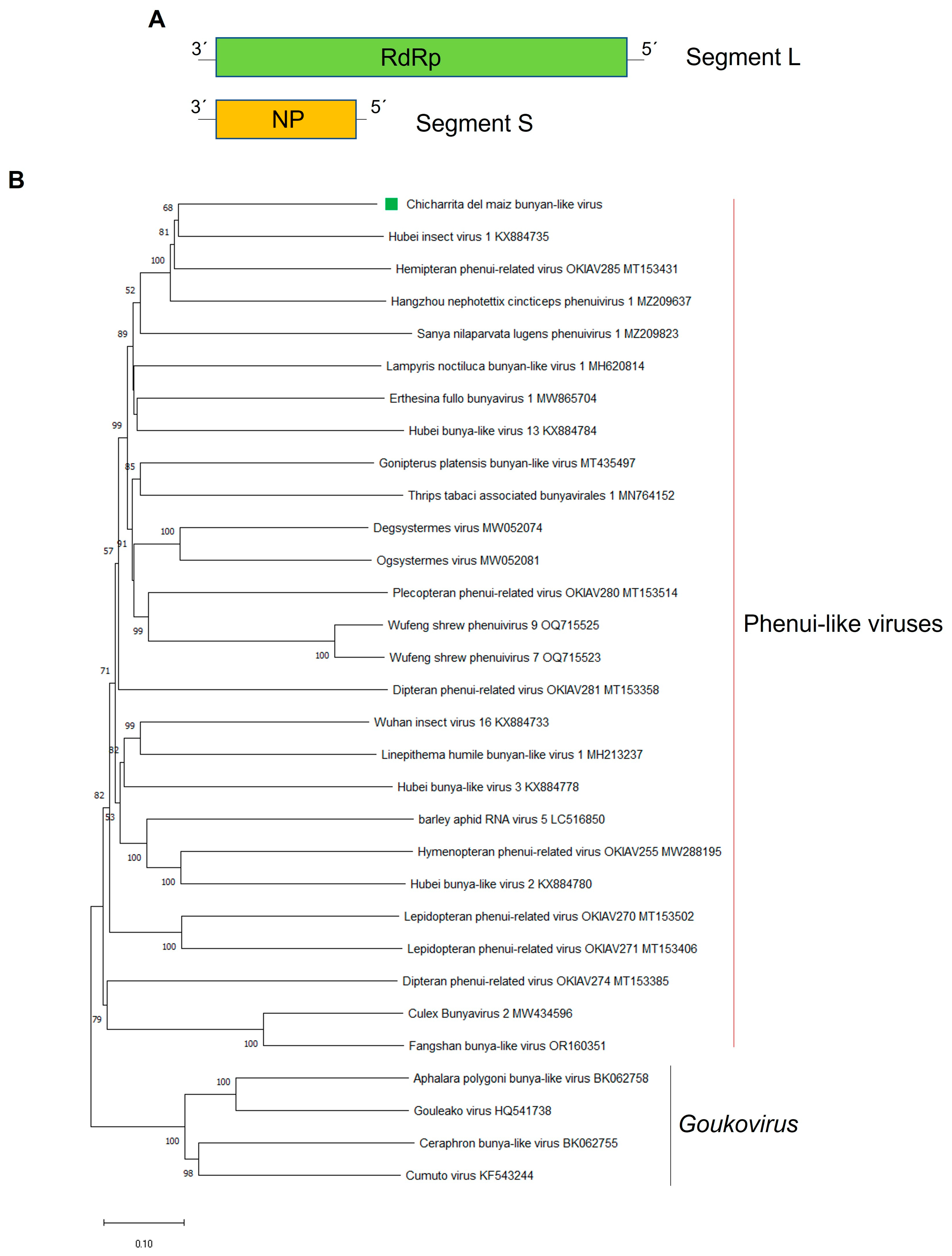 Viruses 16 01583 g002