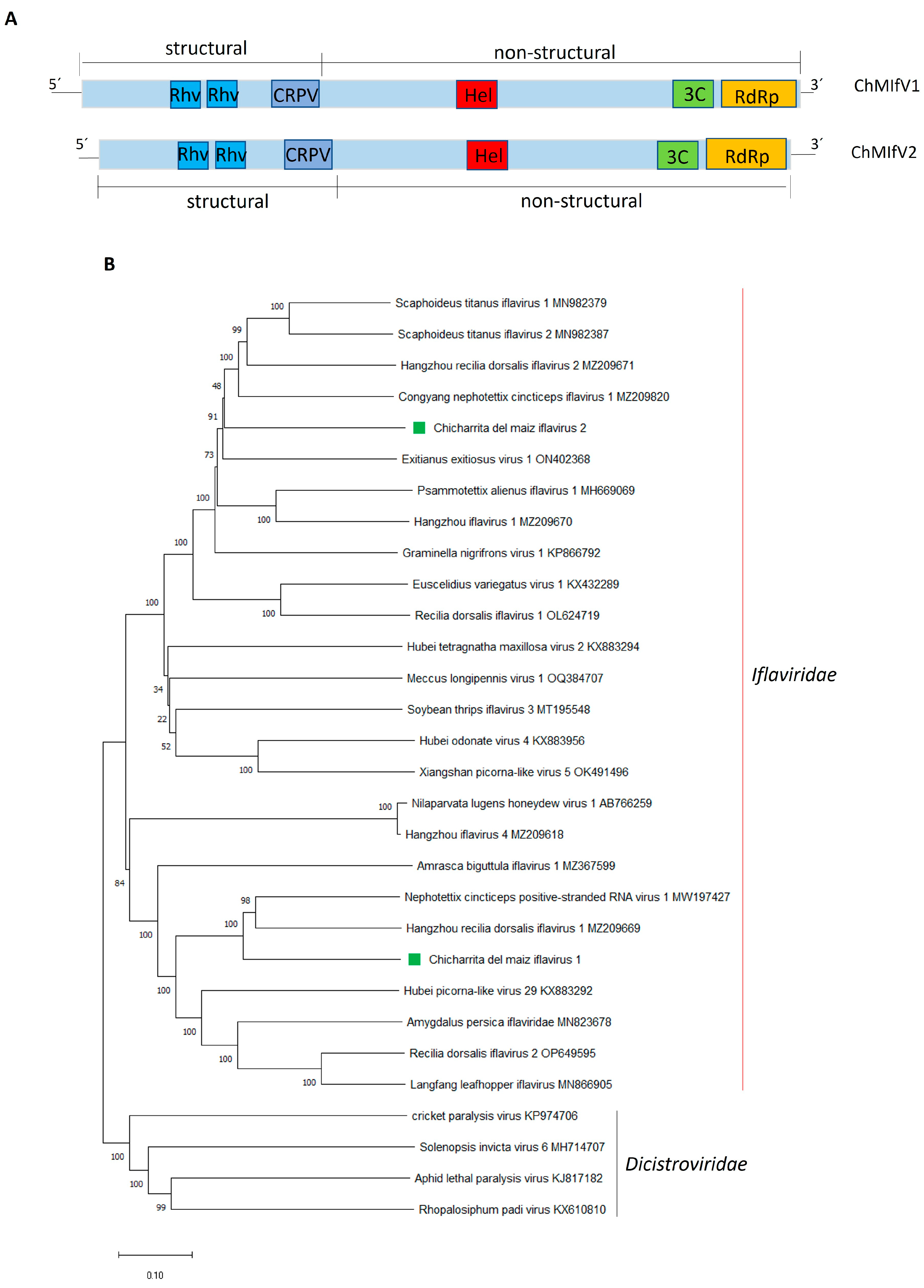 Viruses 16 01583 g003