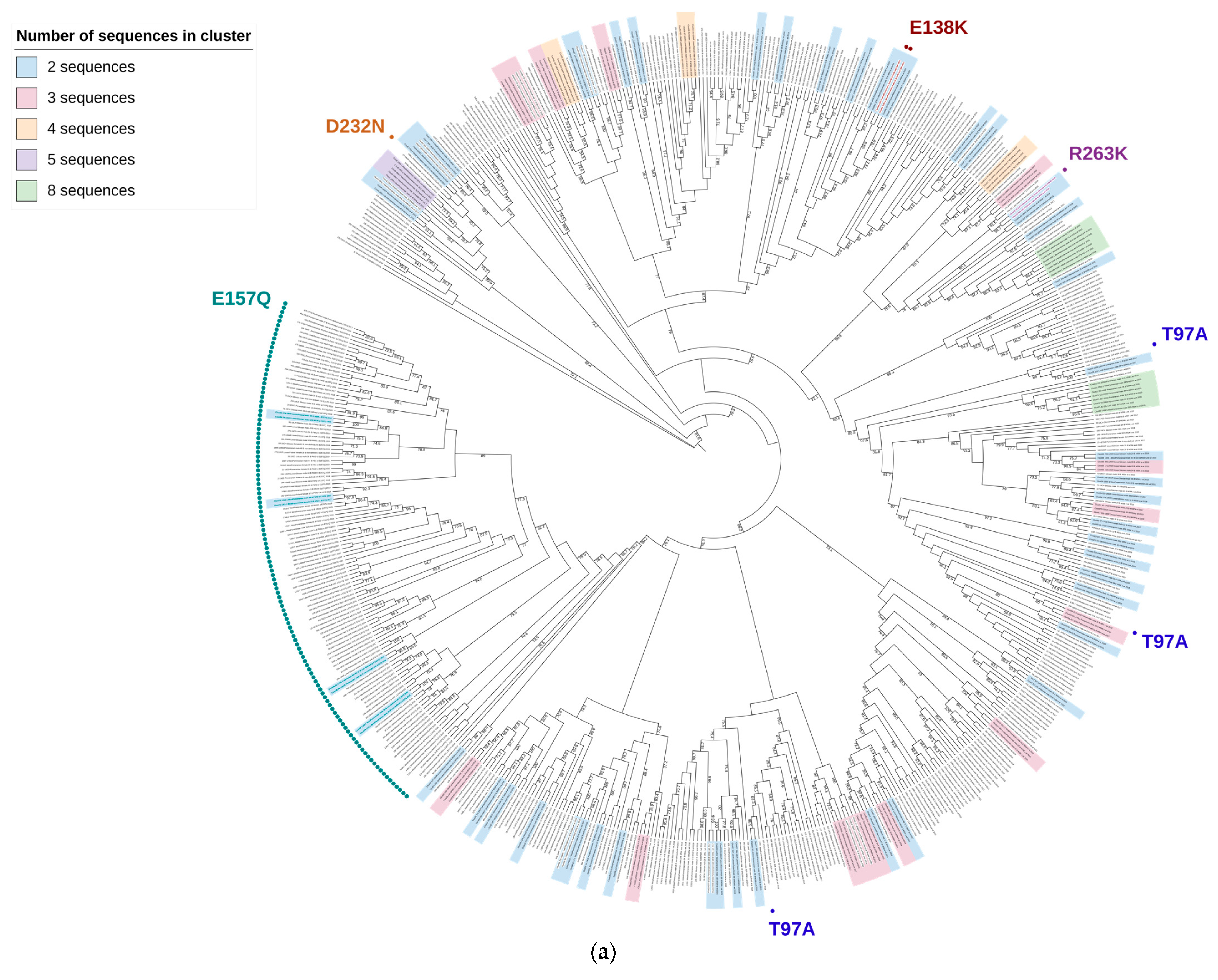 Viruses 16 01597 g004a