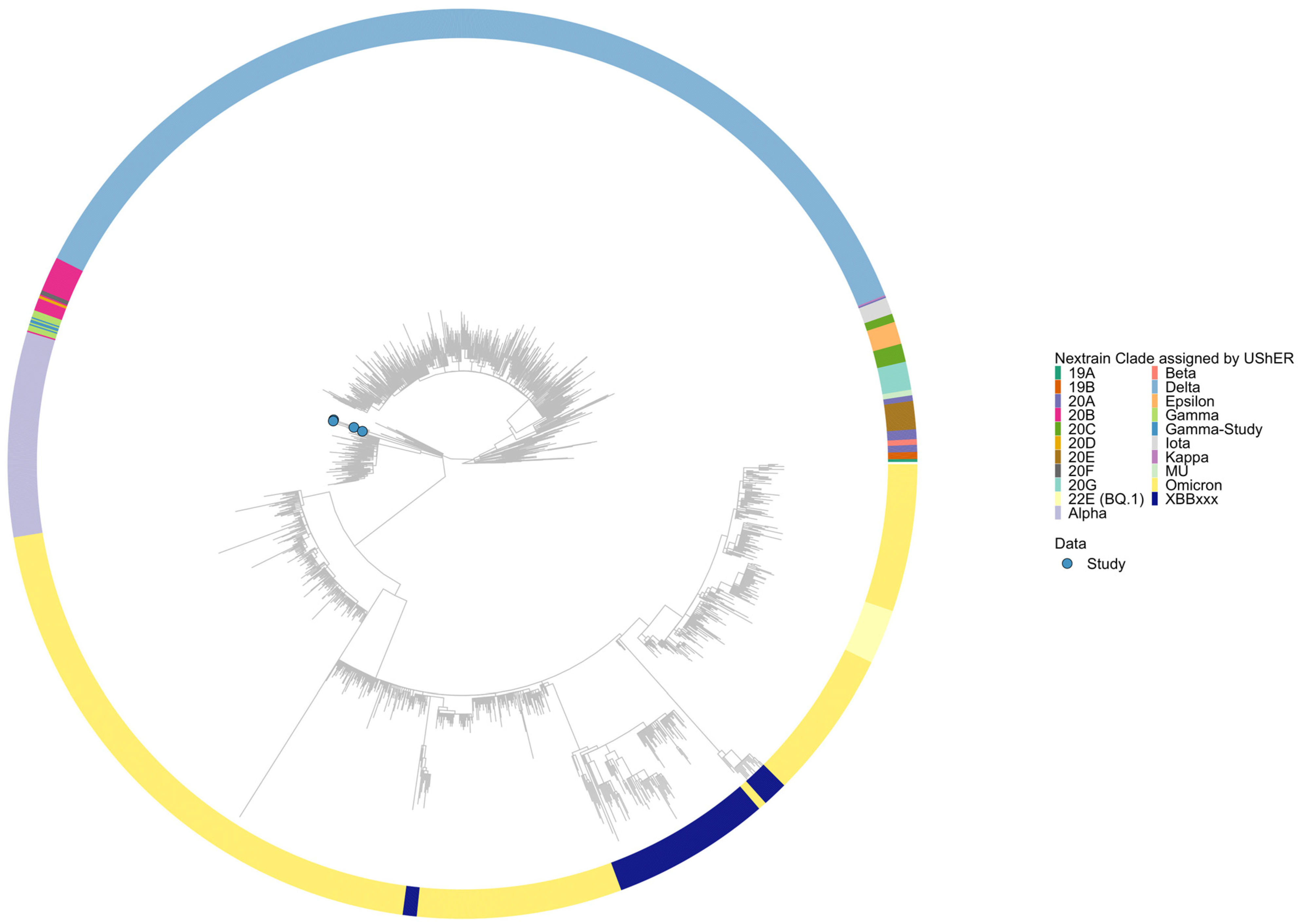 Viruses 16 01599 g001