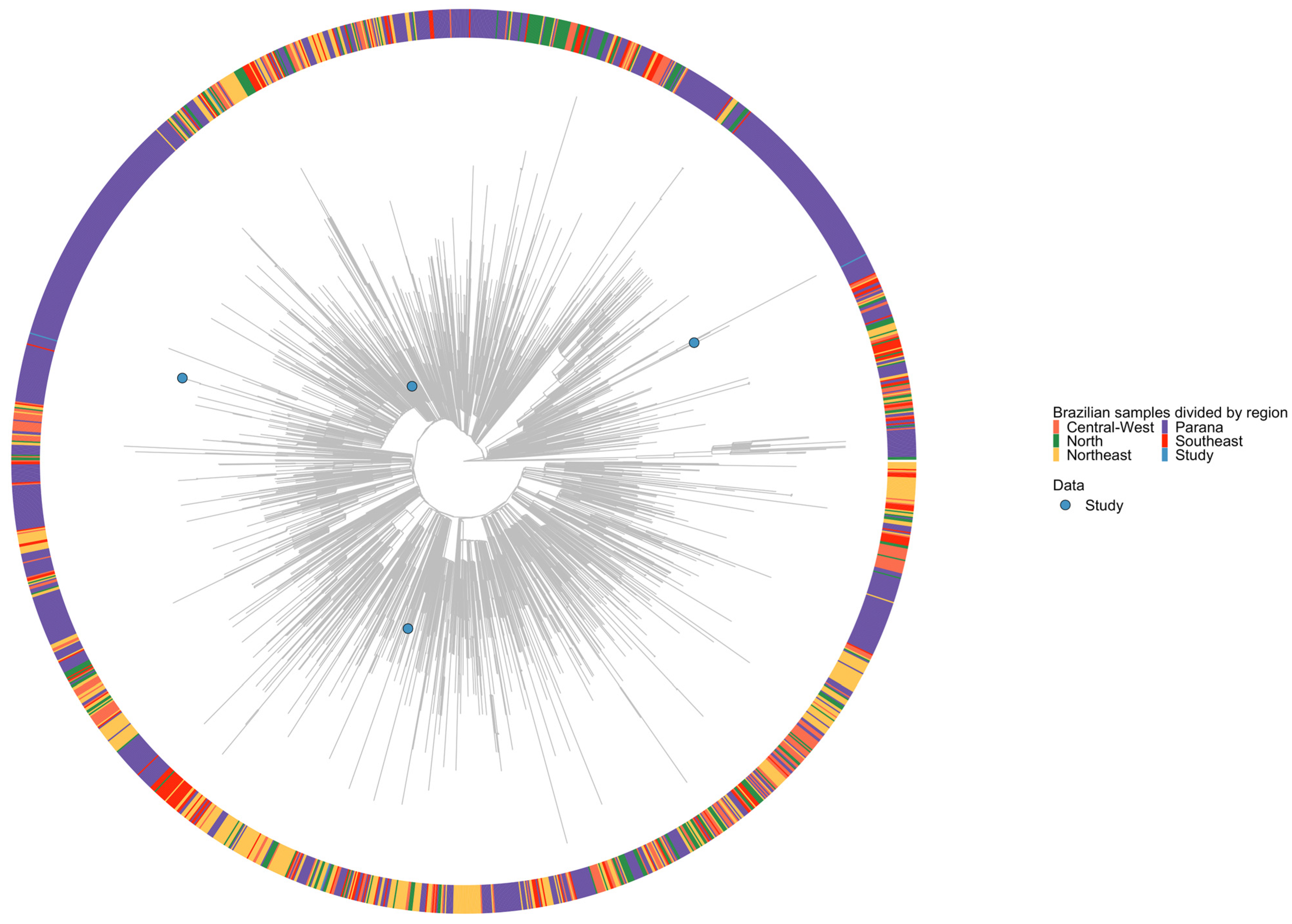 Viruses 16 01599 g002