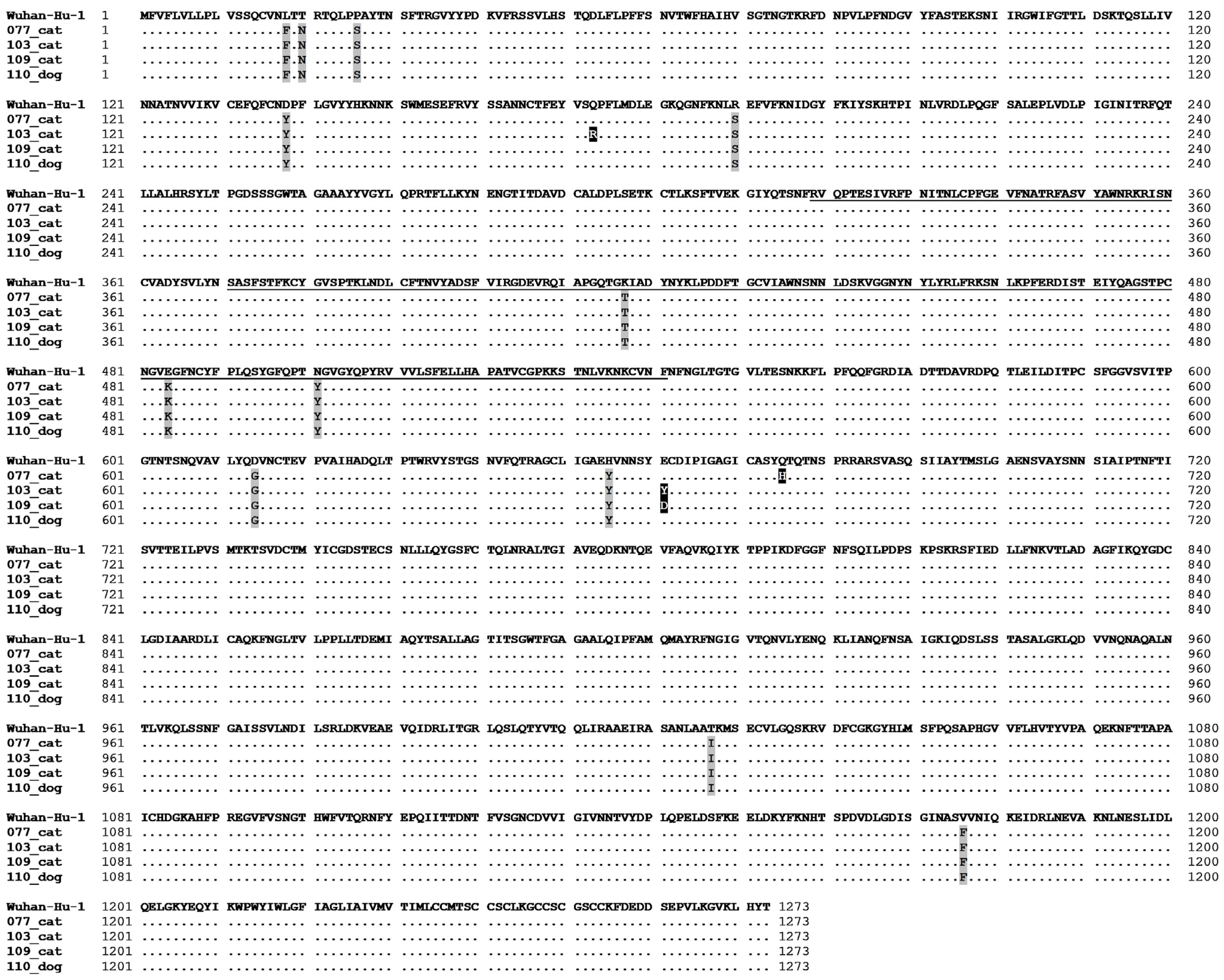 Viruses 16 01599 g003