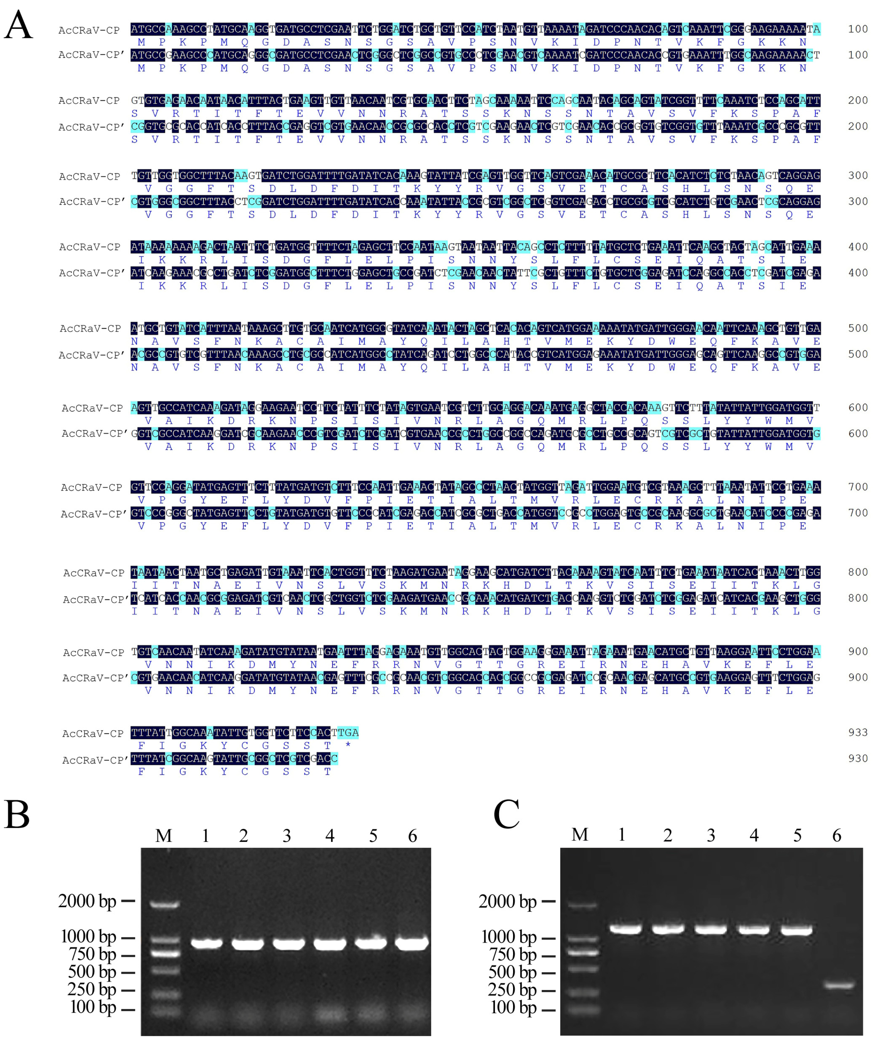 Viruses 16 01600 g002