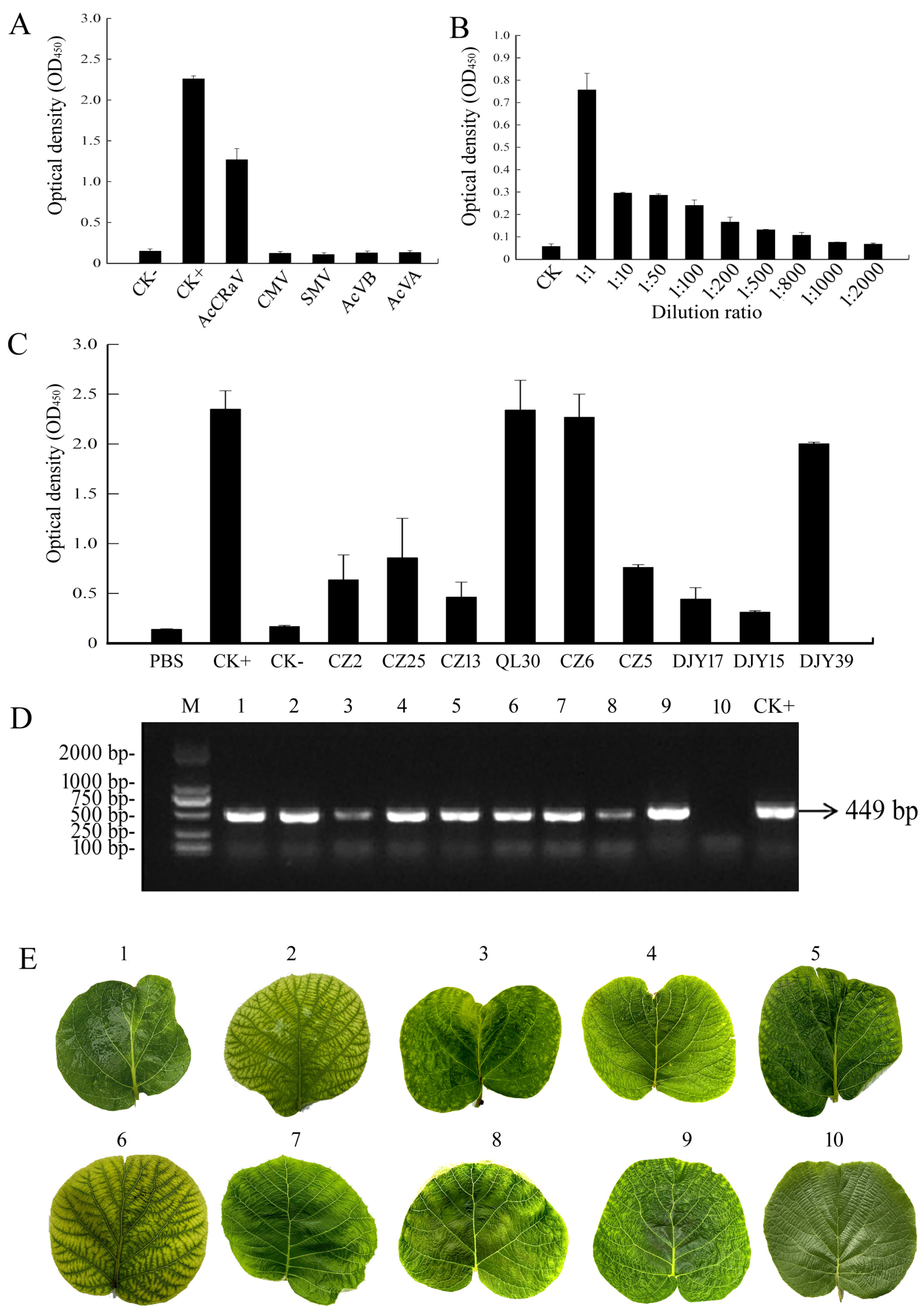 Viruses 16 01600 g004