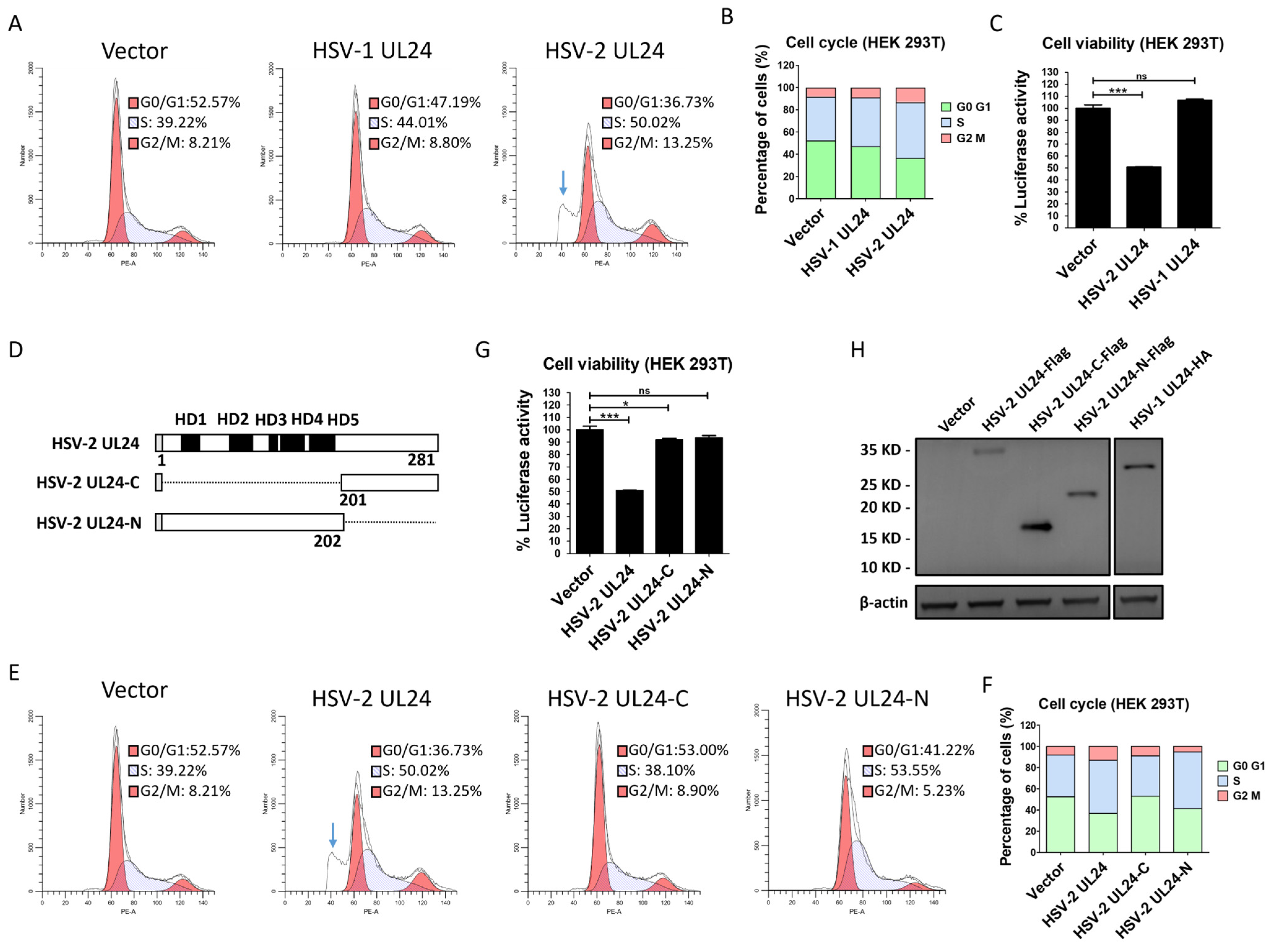 Viruses 16 01601 g002
