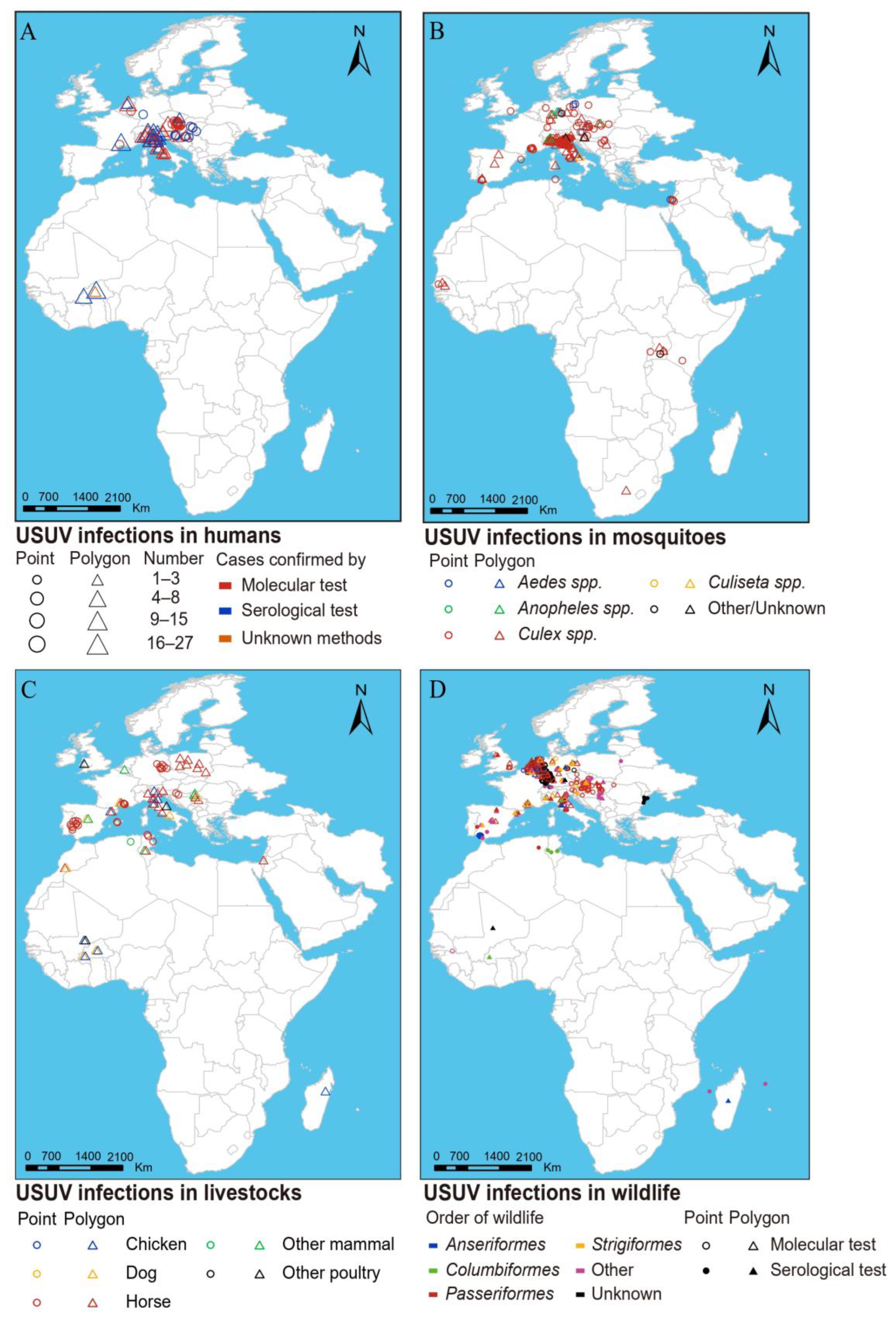 Viruses 16 01606 g003