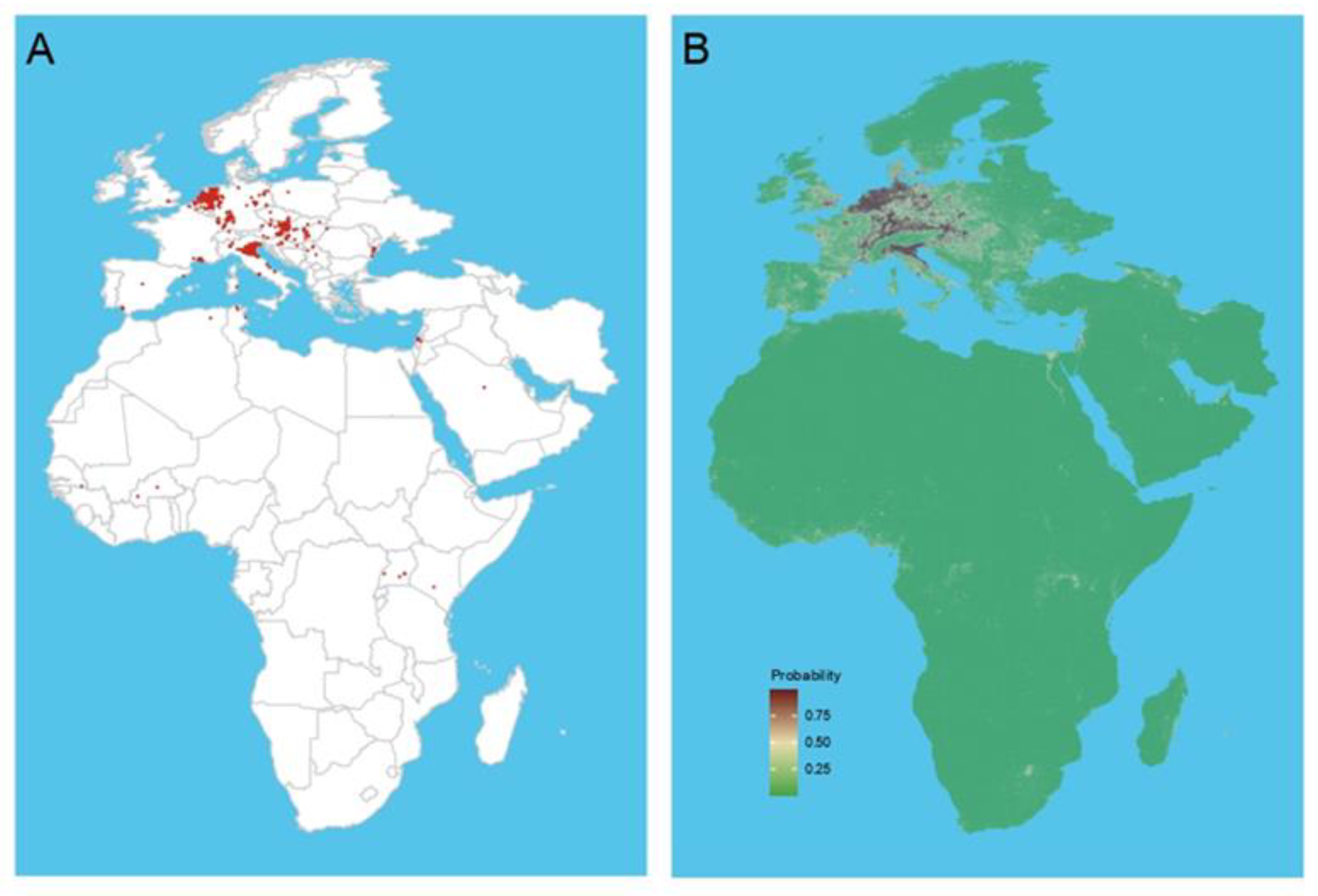 Viruses 16 01606 g006