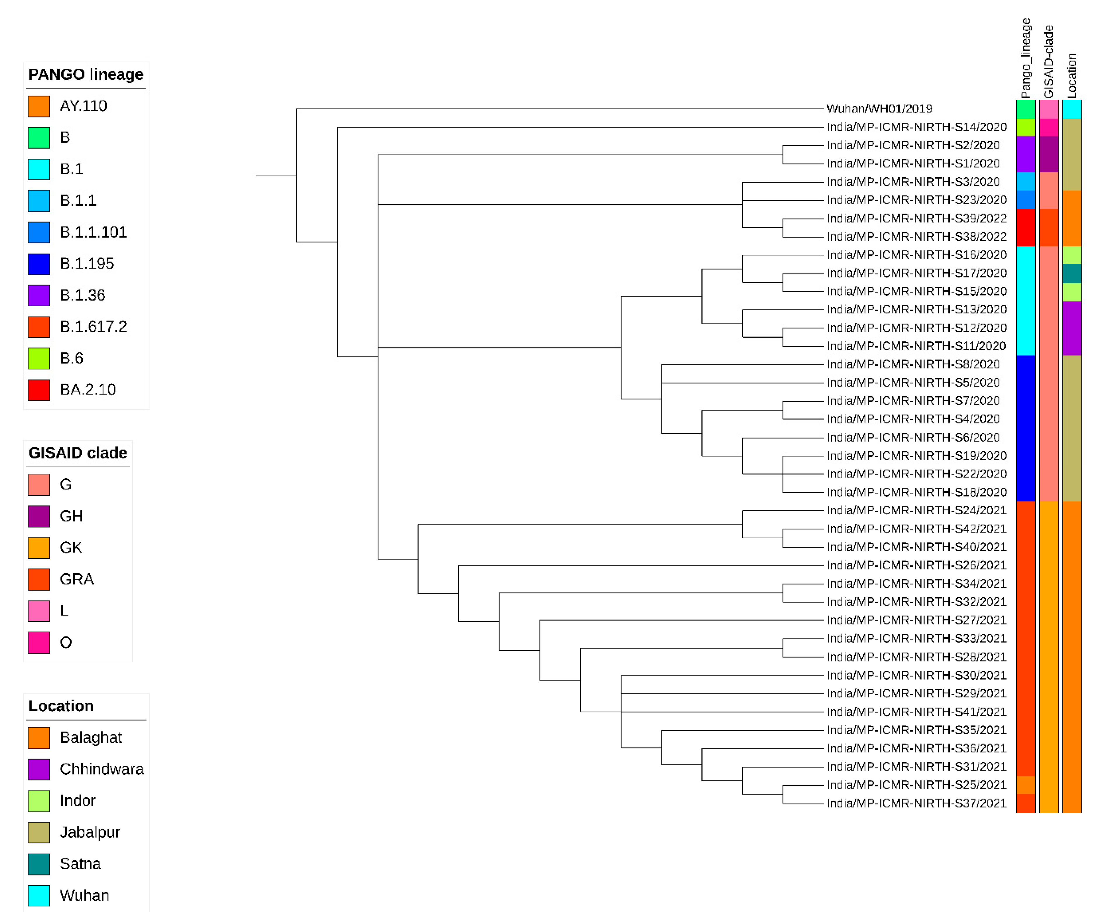 Viruses 16 01608 g001