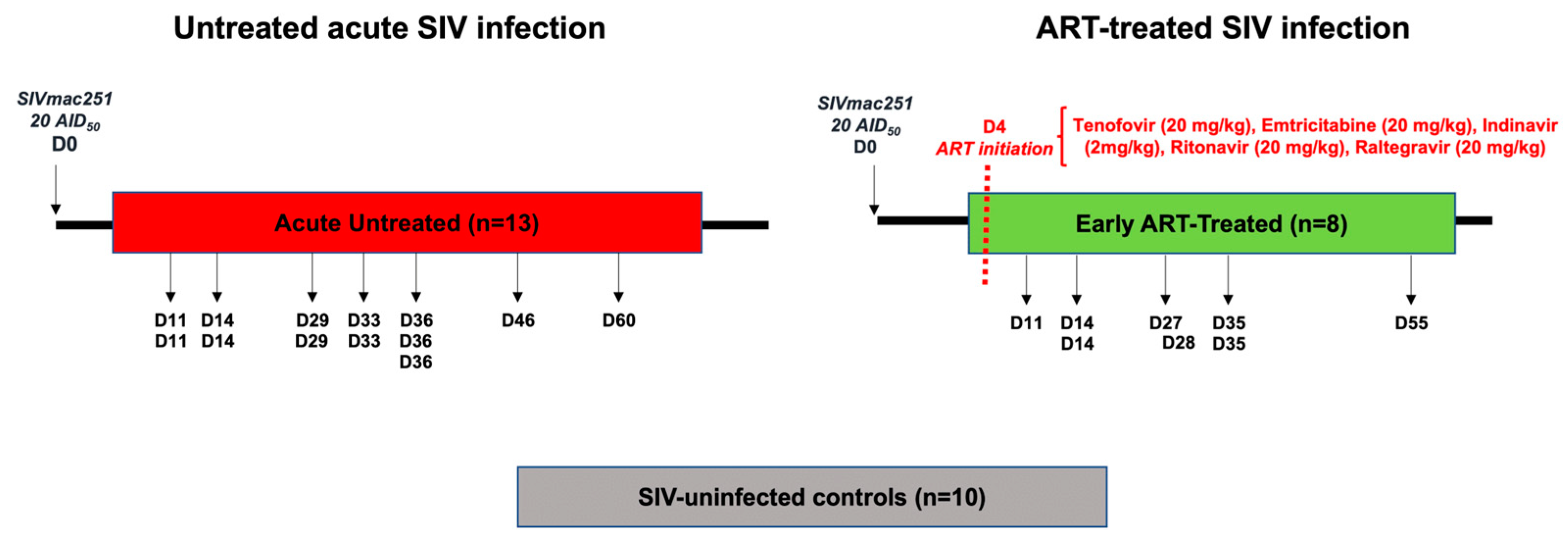 Viruses 16 01609 g001