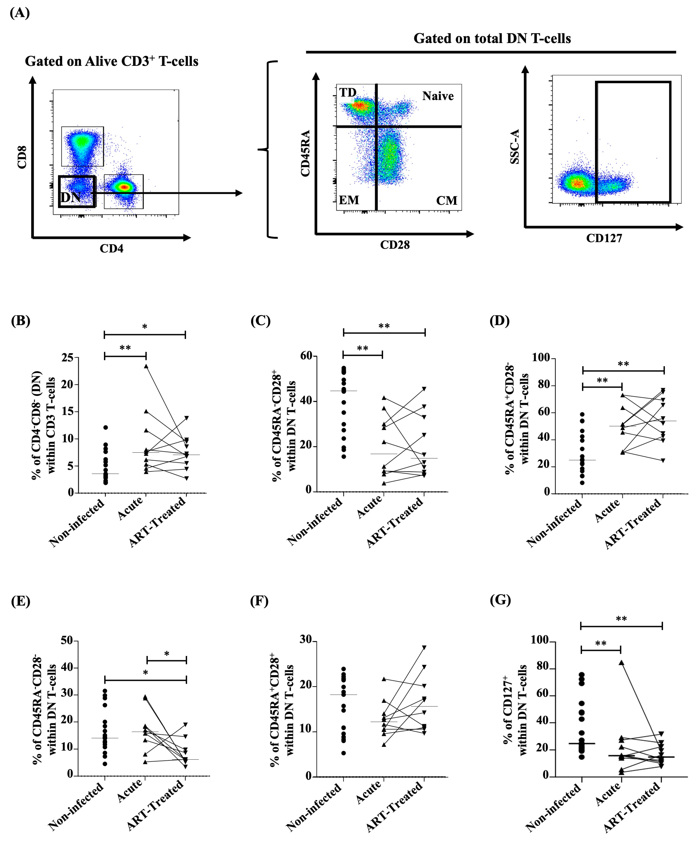 Viruses 16 01609 g002