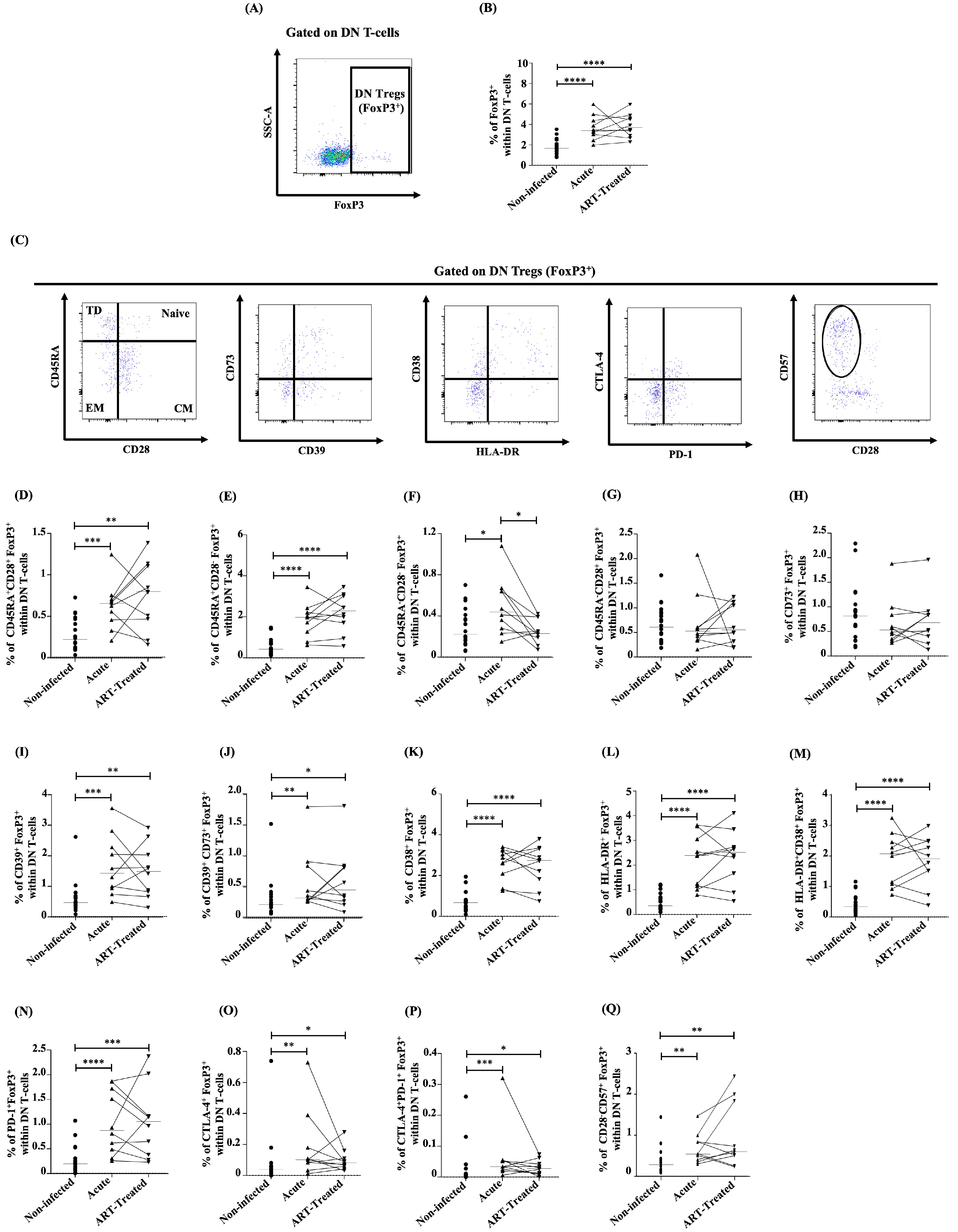 Viruses 16 01609 g004