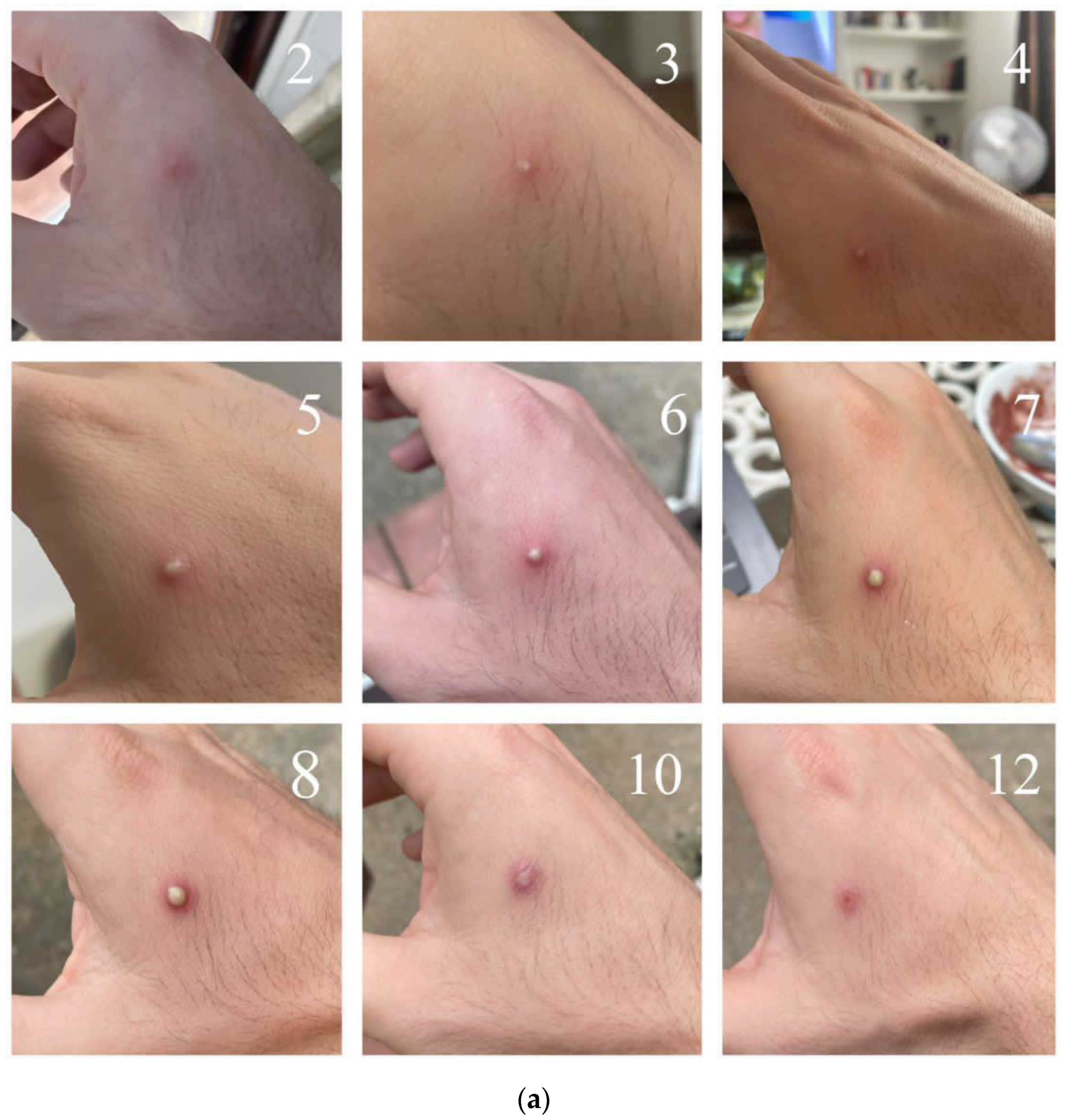 Viruses 16 01620 g003a