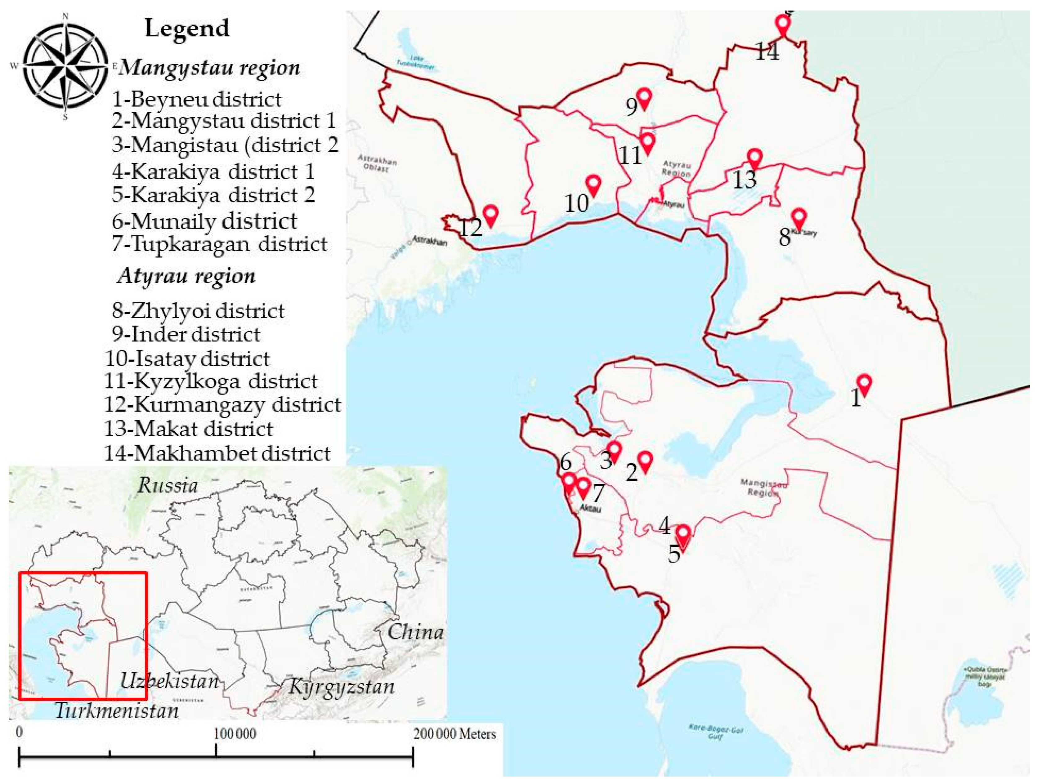 Viruses 16 01626 g001