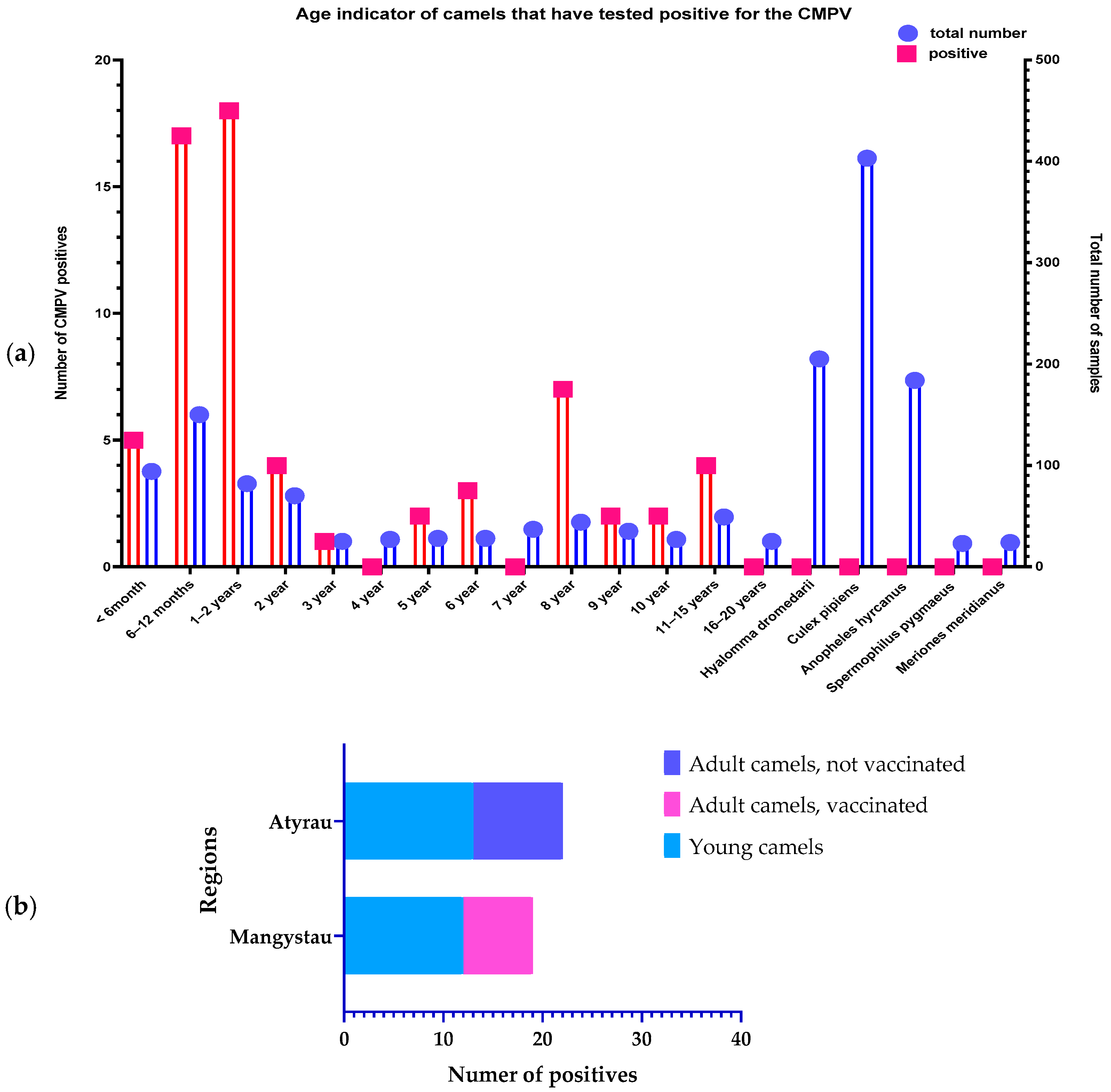 Viruses 16 01626 g004