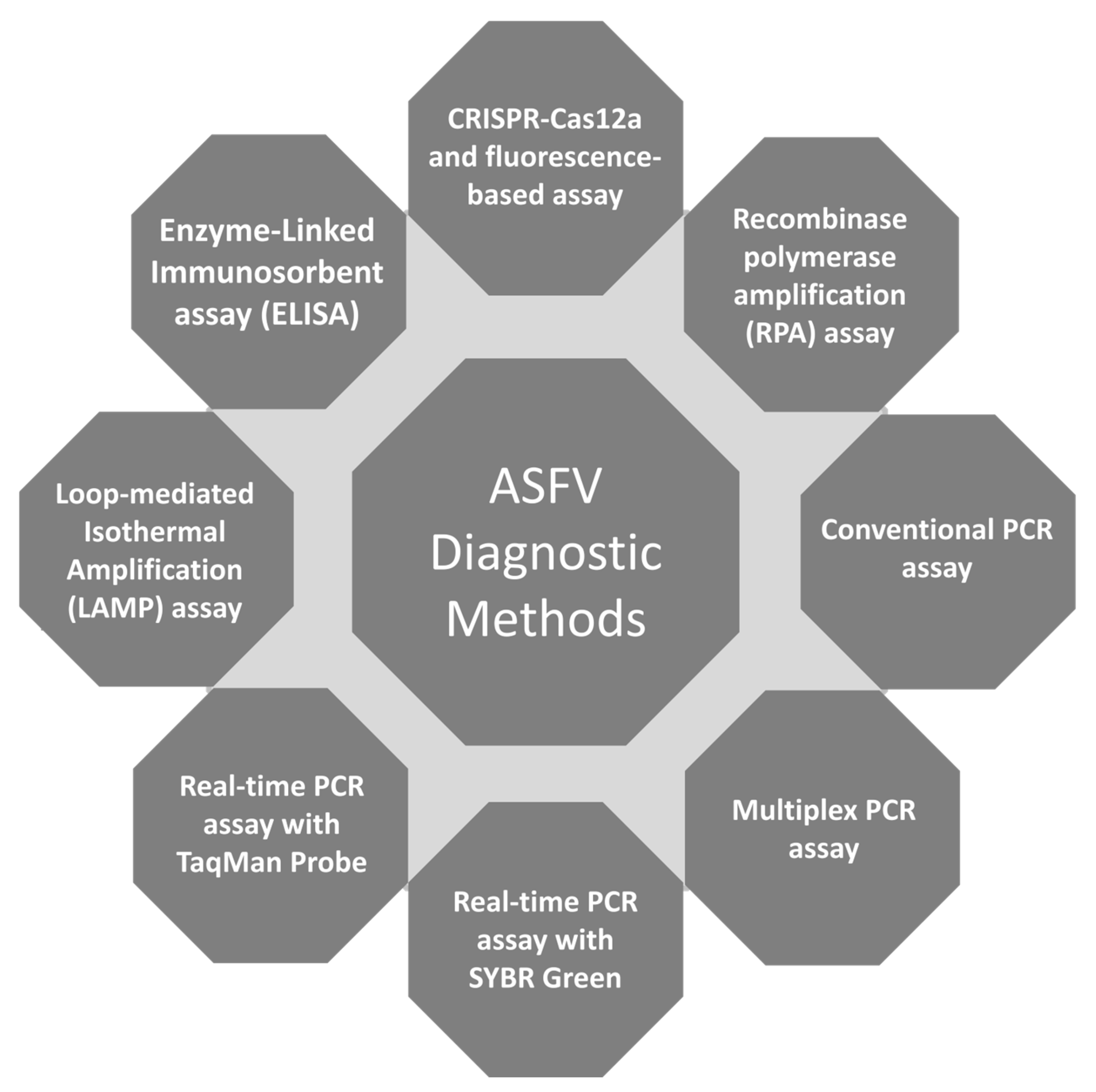 Viruses 16 01627 g001