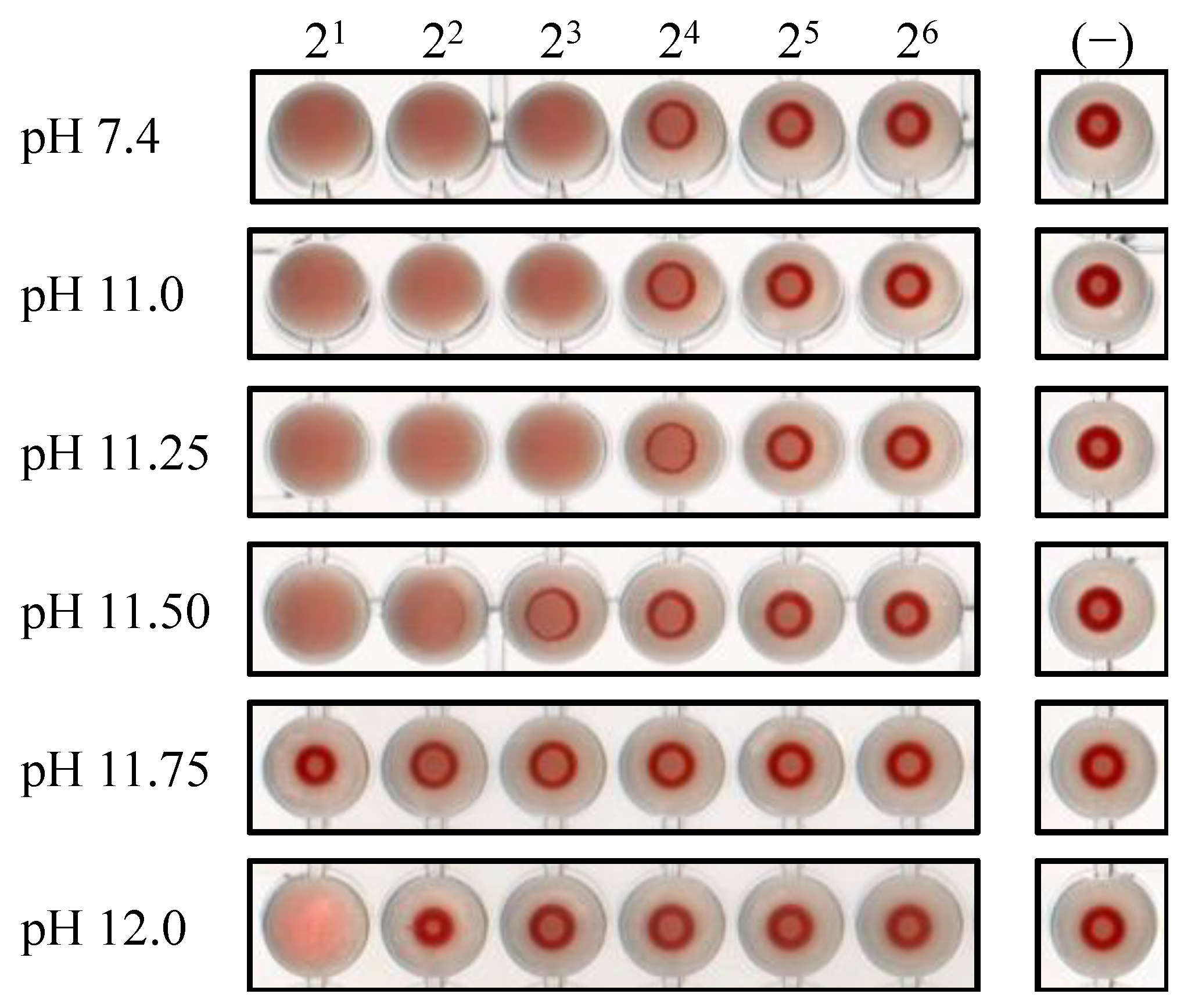 Viruses 16 01636 g005