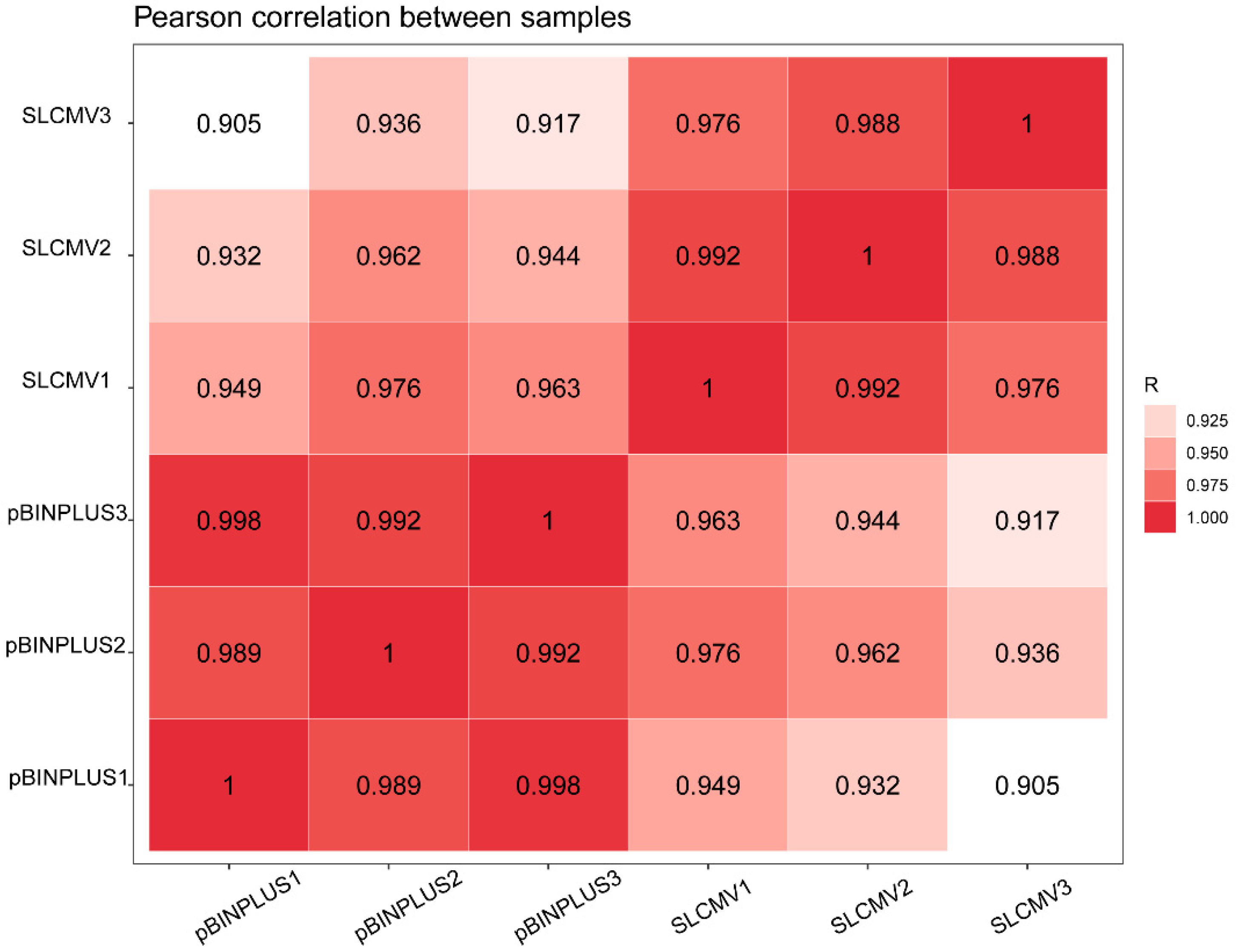 Viruses 16 01654 g002