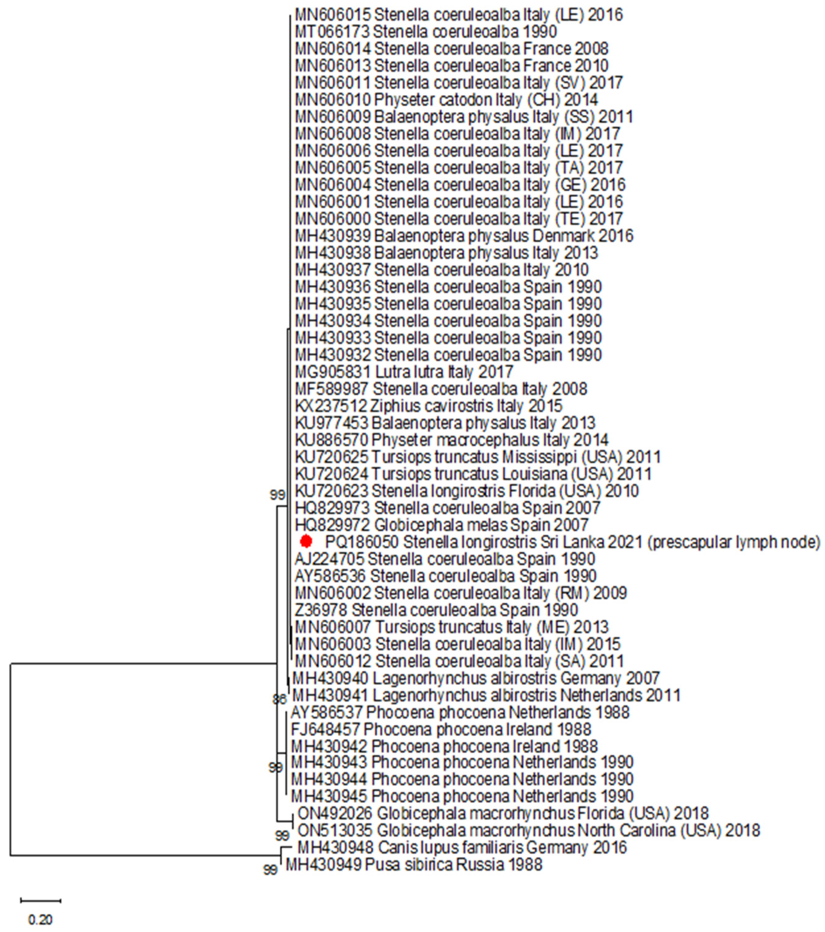 Viruses 16 01662 g002